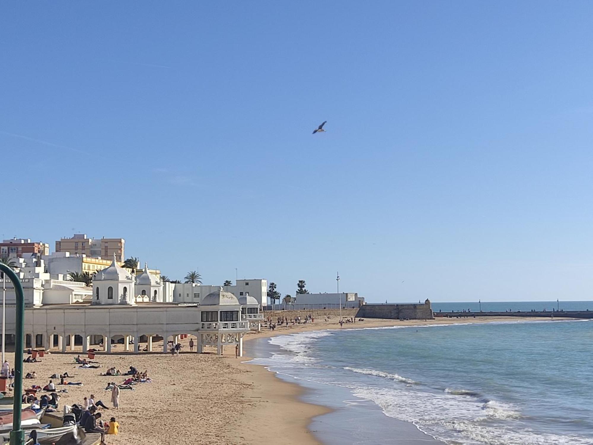 Estreno Centro Y Playa Apartamento
