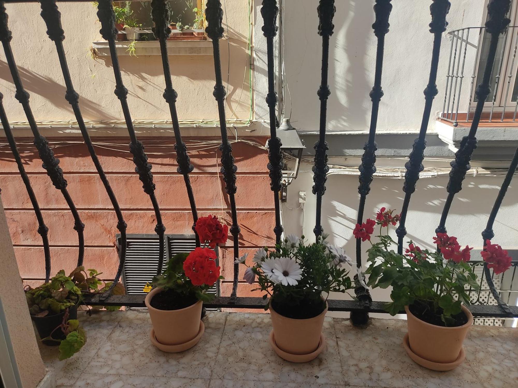 Apartamento Estreno Centro Y Playa *