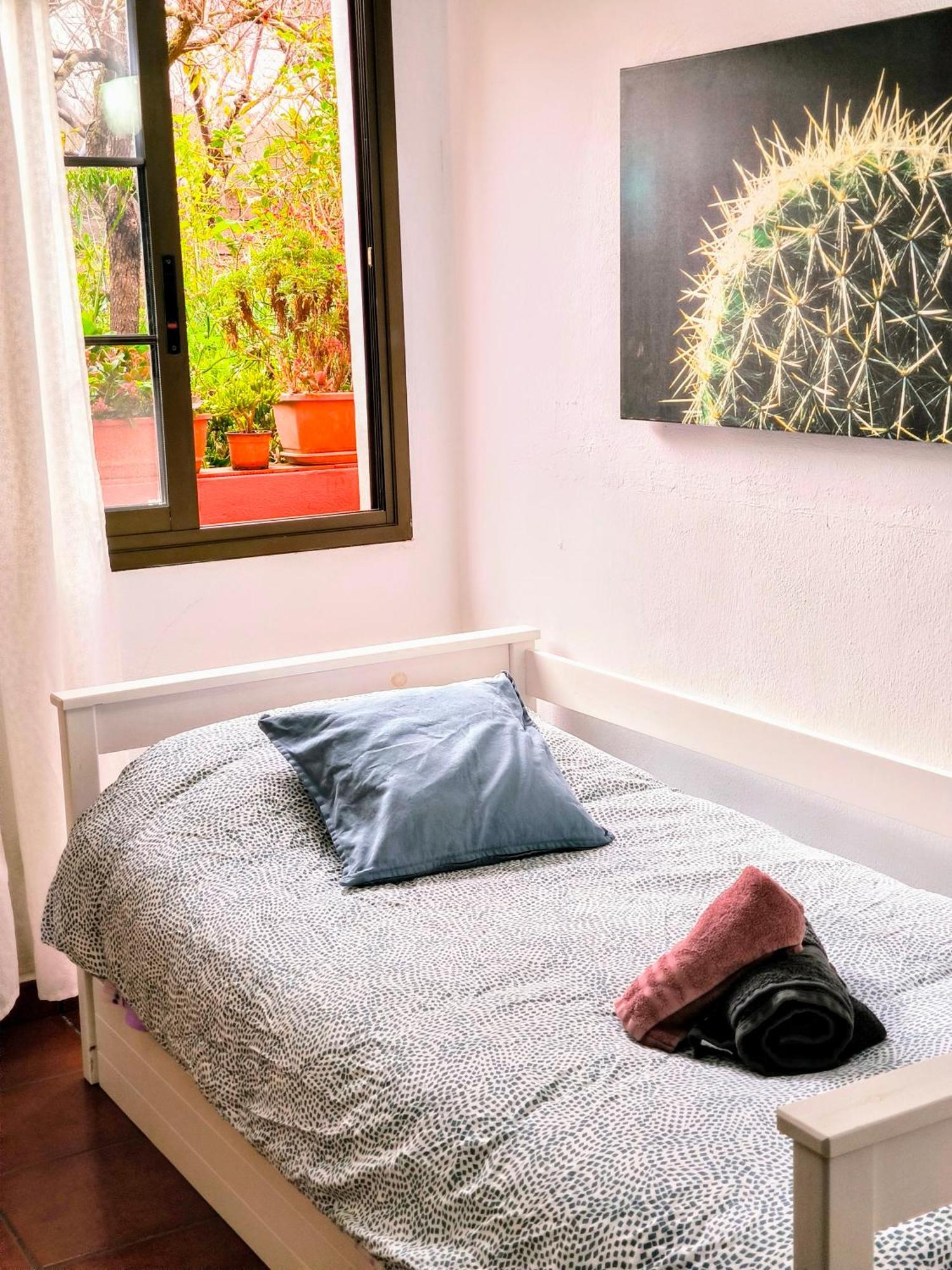 La Casa De Las Flores * Tacoronte