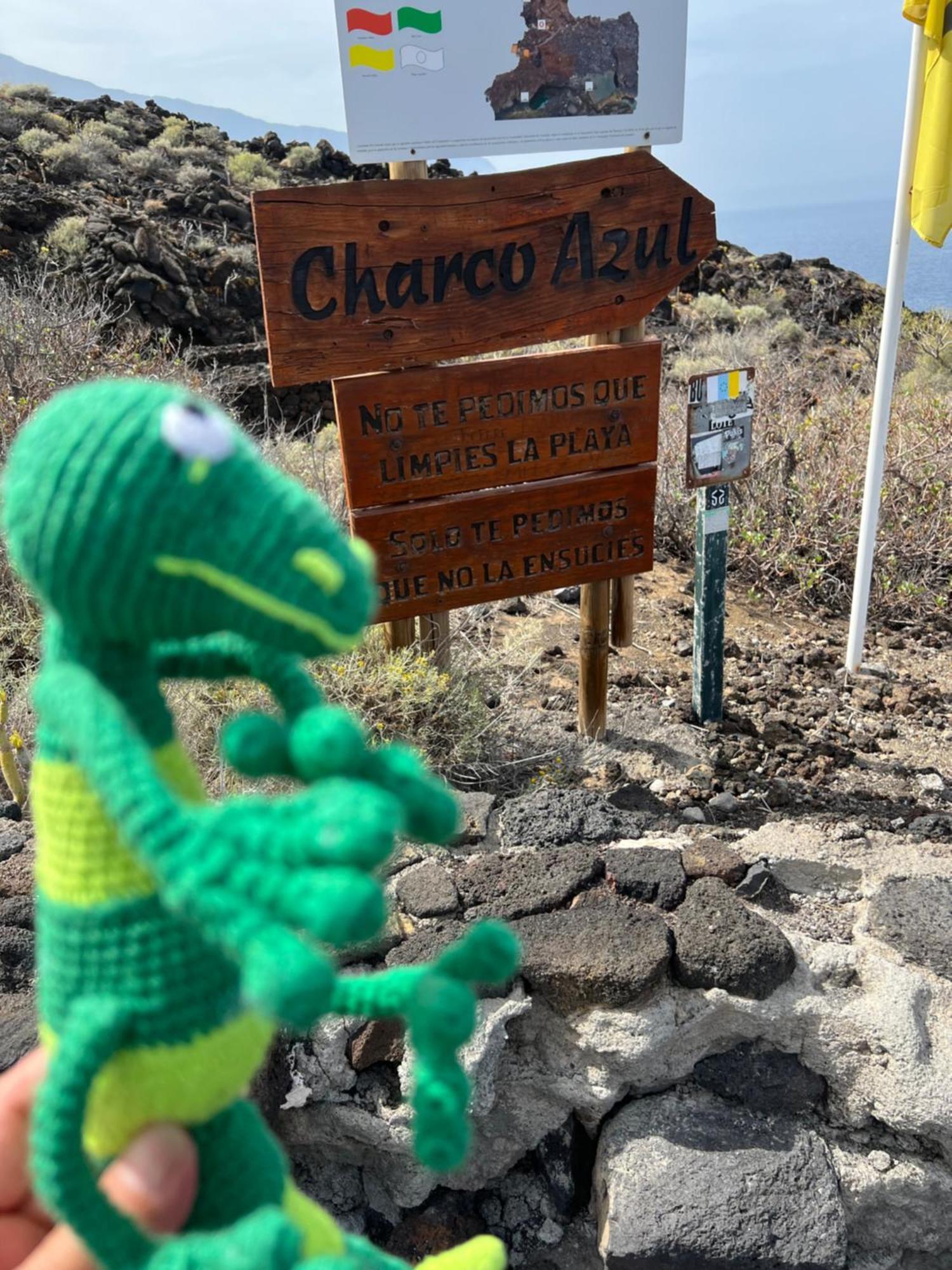 Geko * Los Llanillos