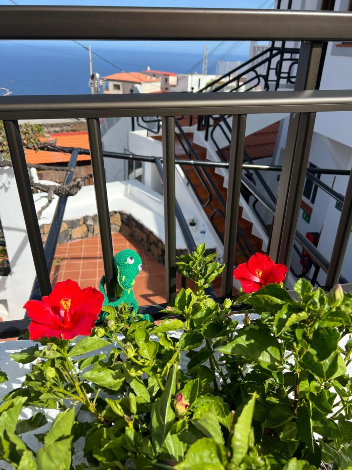 Hotel Geko Los Llanillos