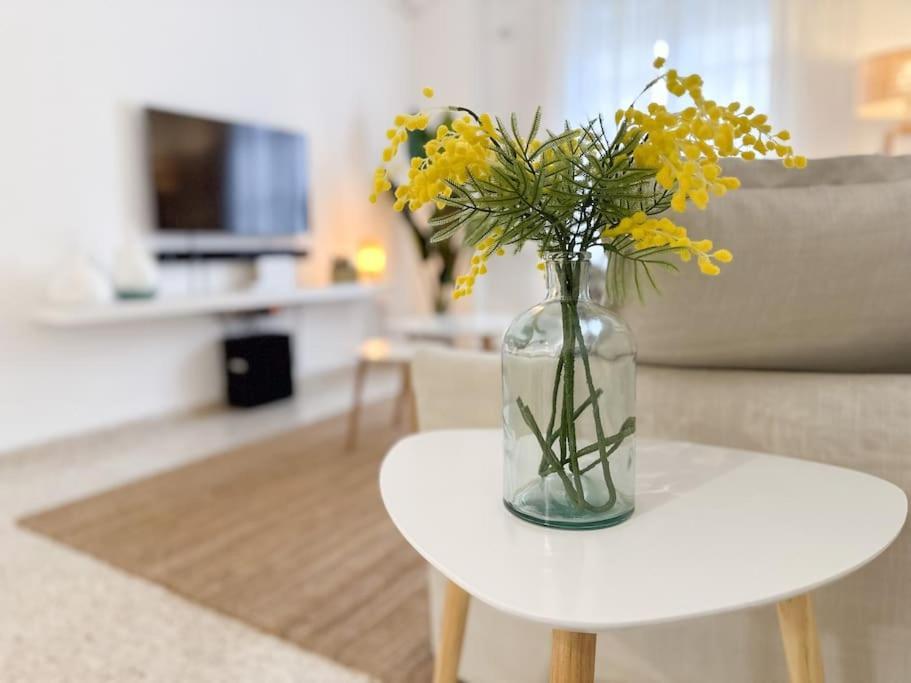 Www Casa Quili Com Apartamento Cádiz