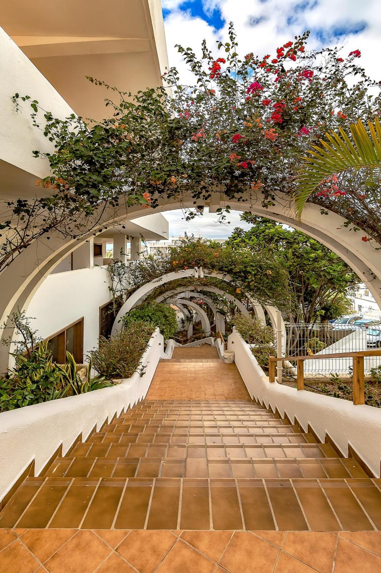Lovely 1 Bedroom In Parque Royal 1, Playa Fañabe Apartamento
