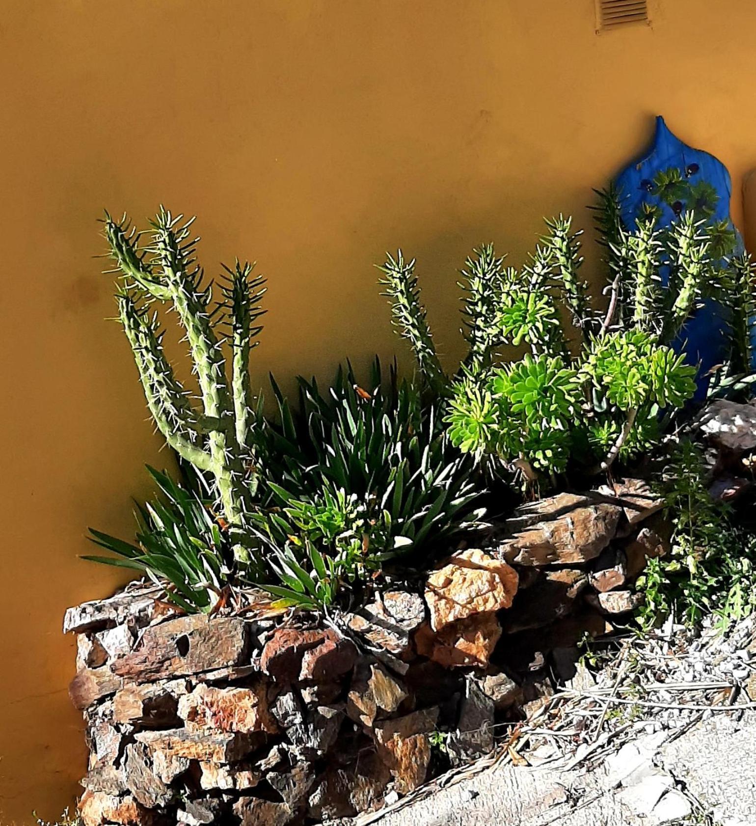 Holiday home Adobe Getaway With 'private Plunge Pool' *