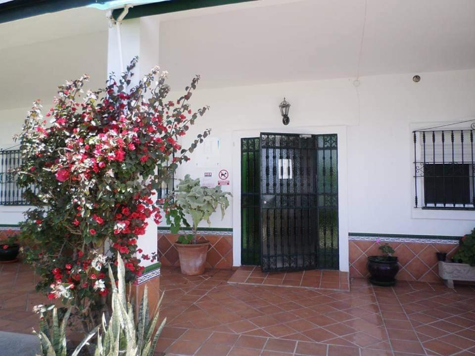 Restaurante La Ilusion *