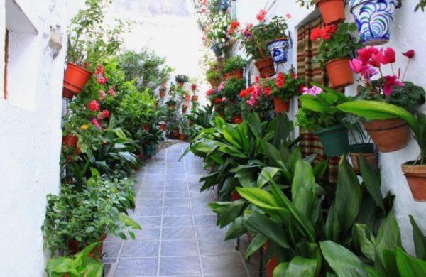 Apartamento La Casa De La Plaza Güéjar Sierra