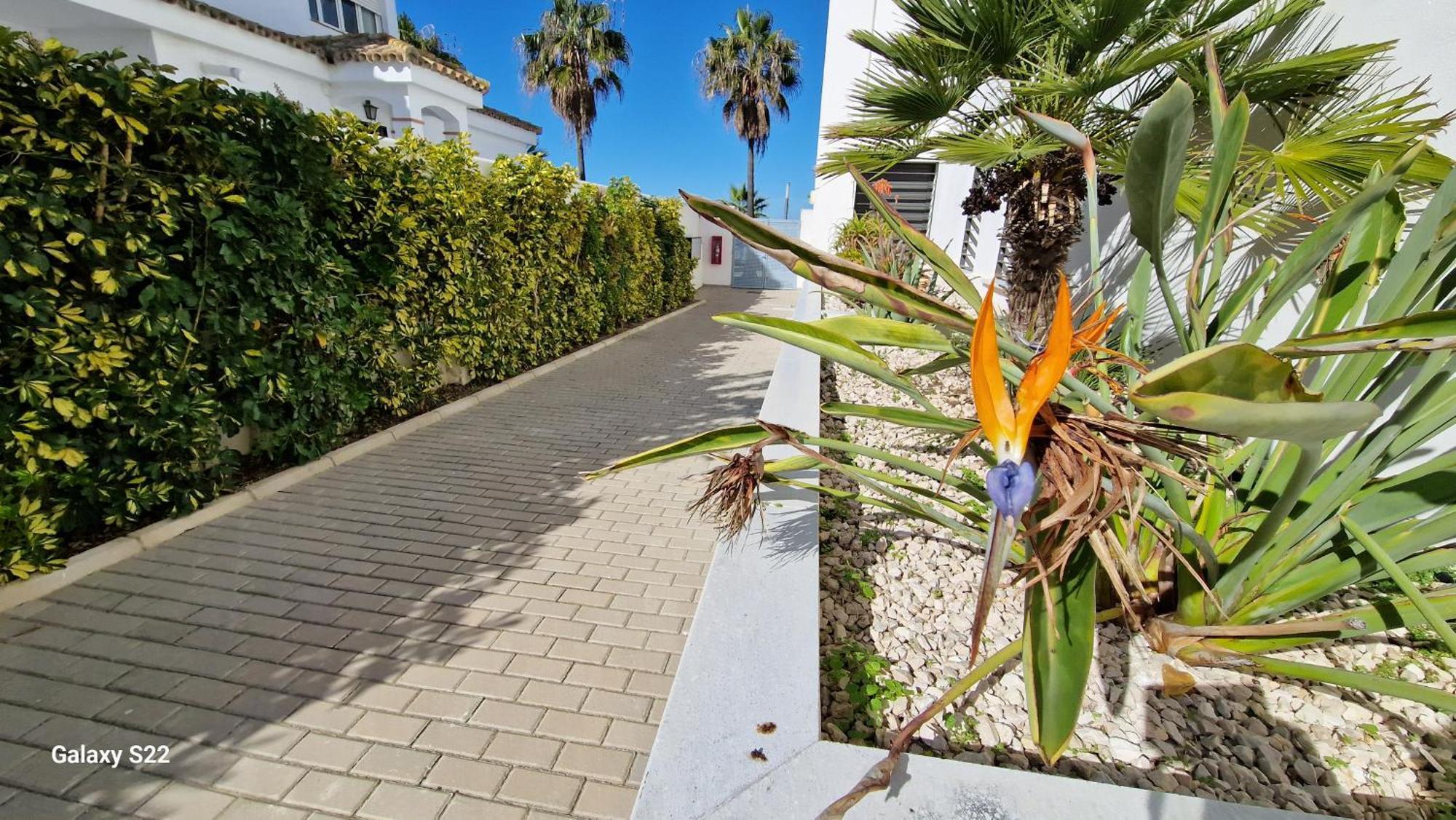 Apartment Boutelou Playa Con Vistas Al Mar *
