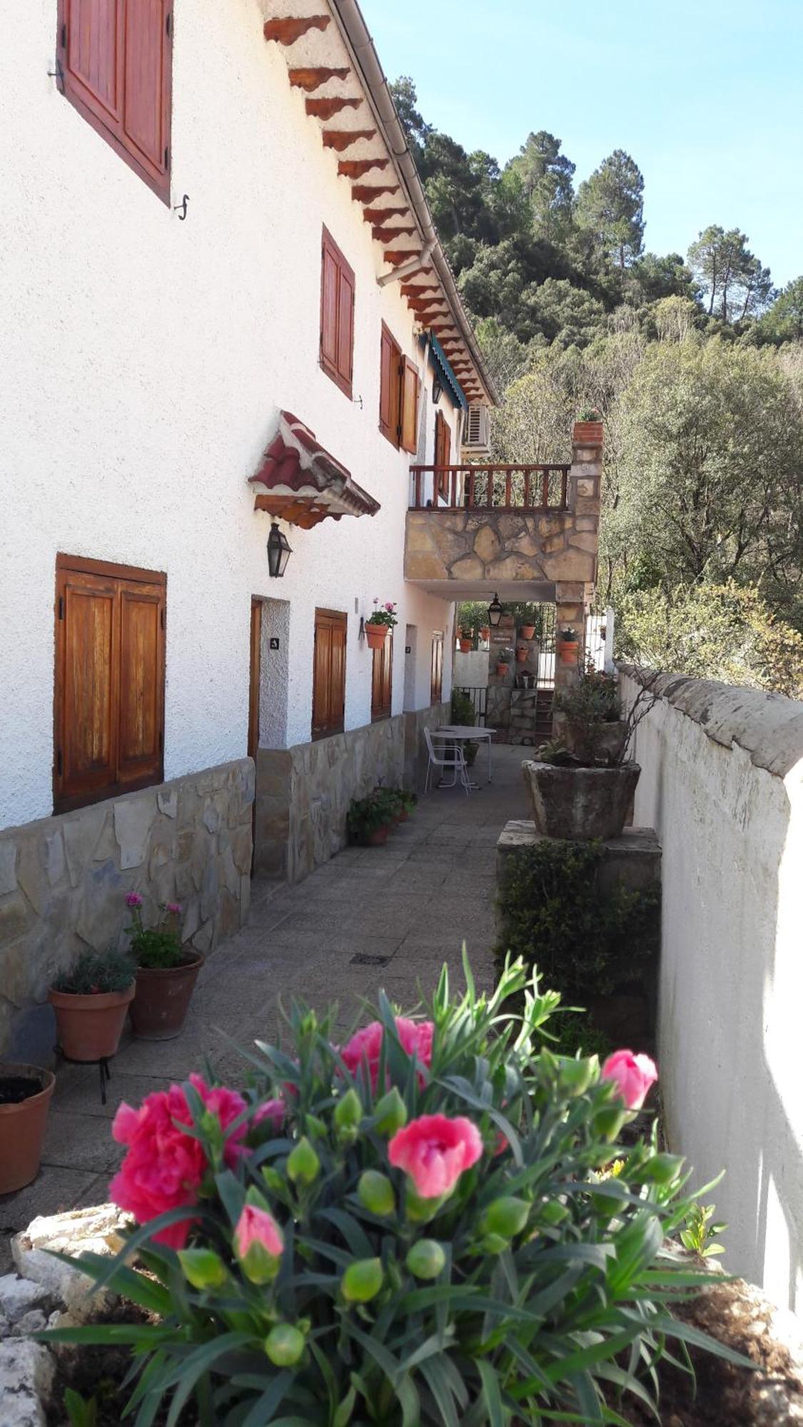 Sevilla Arroyo Frio