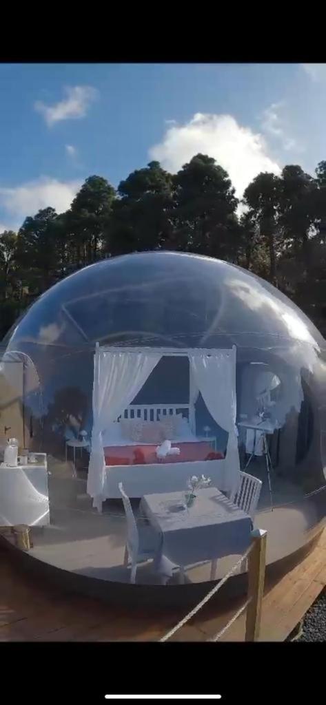 Apartamento Esferas