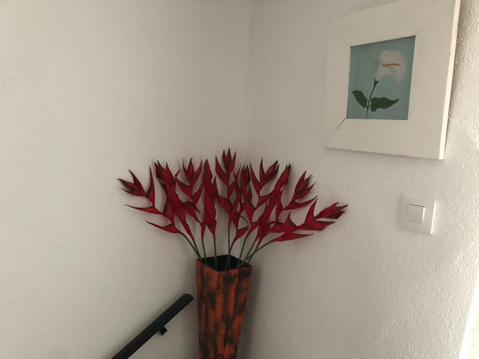 Casita Al Completo En Apartamento