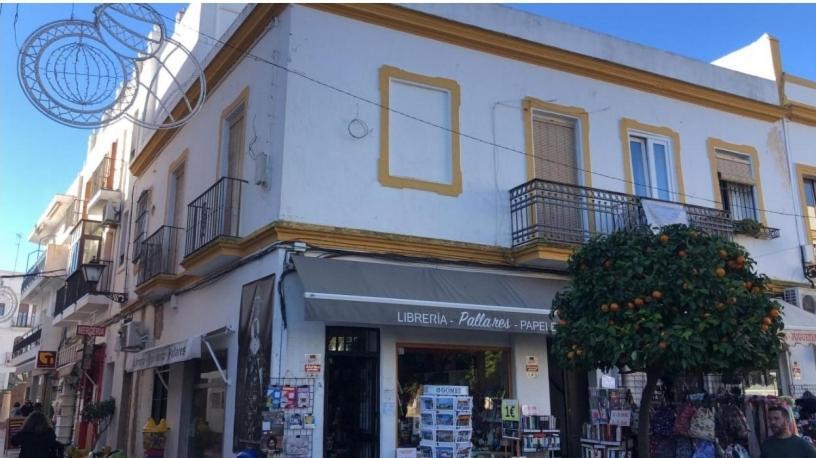 La Inmaculada *