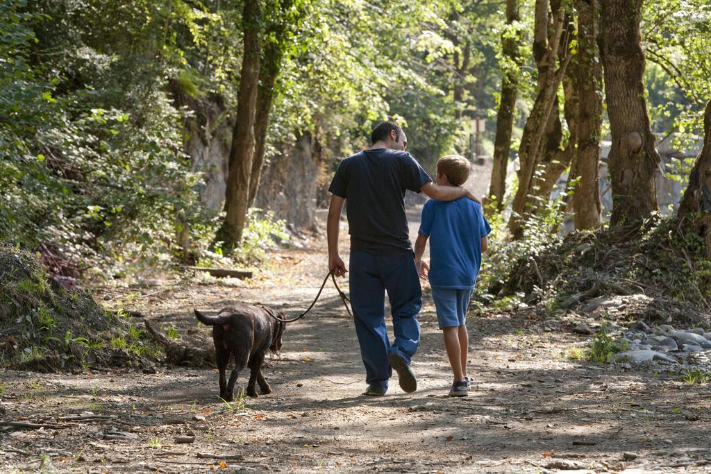 Verneda Mountain Camping Arrós