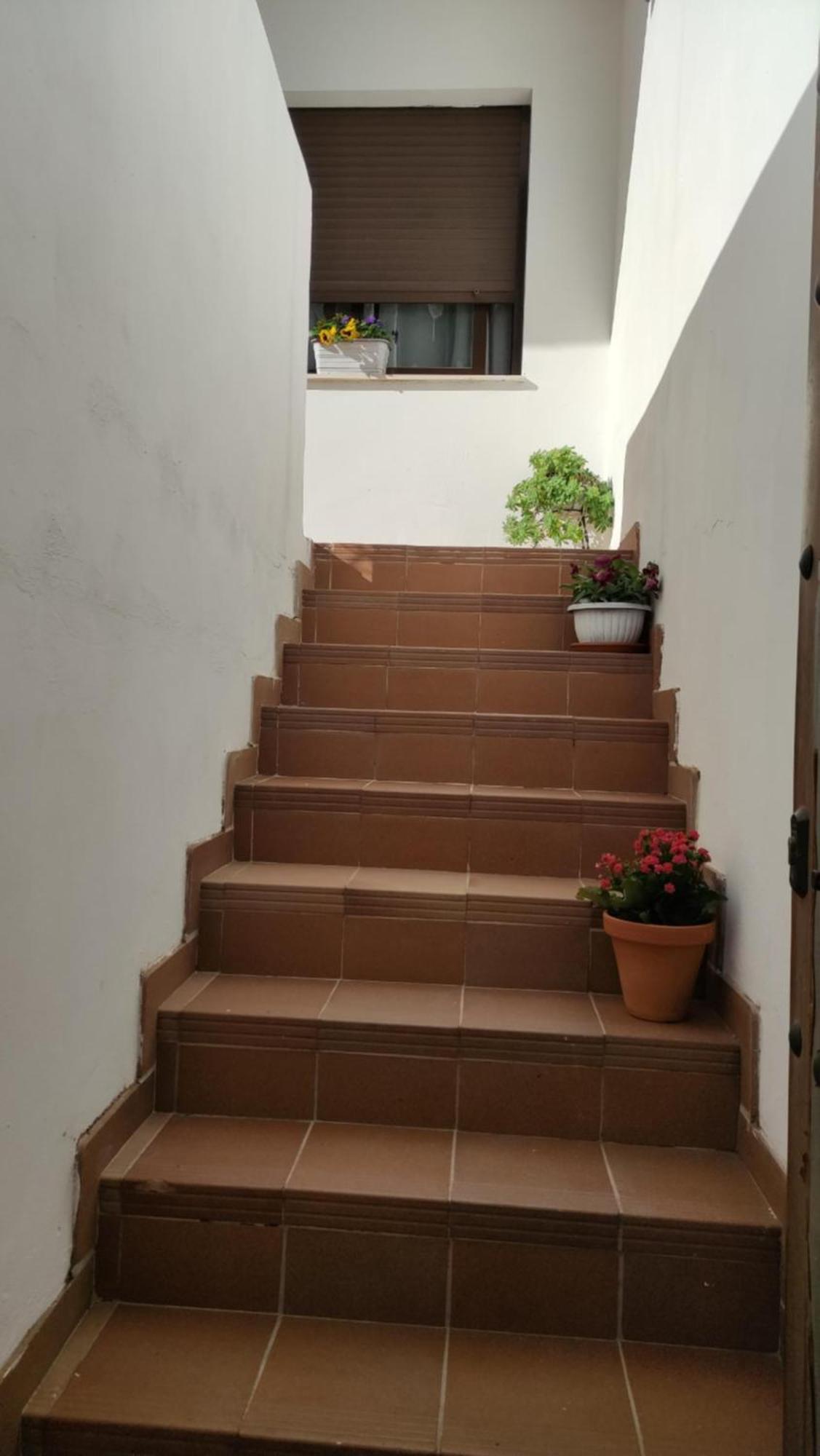 Apartamento Yolanda *
