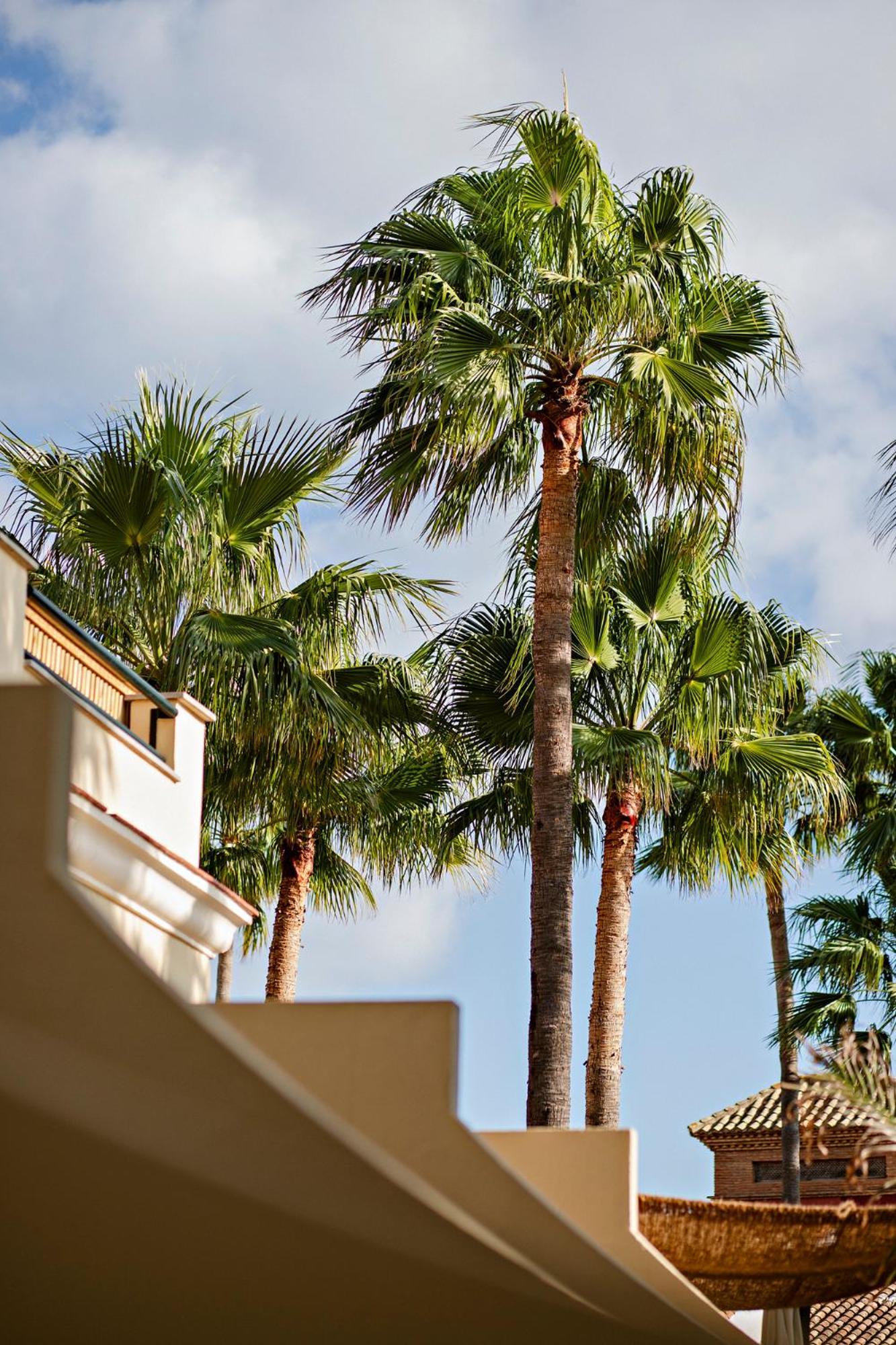 Boutique 4* Alcaidesa