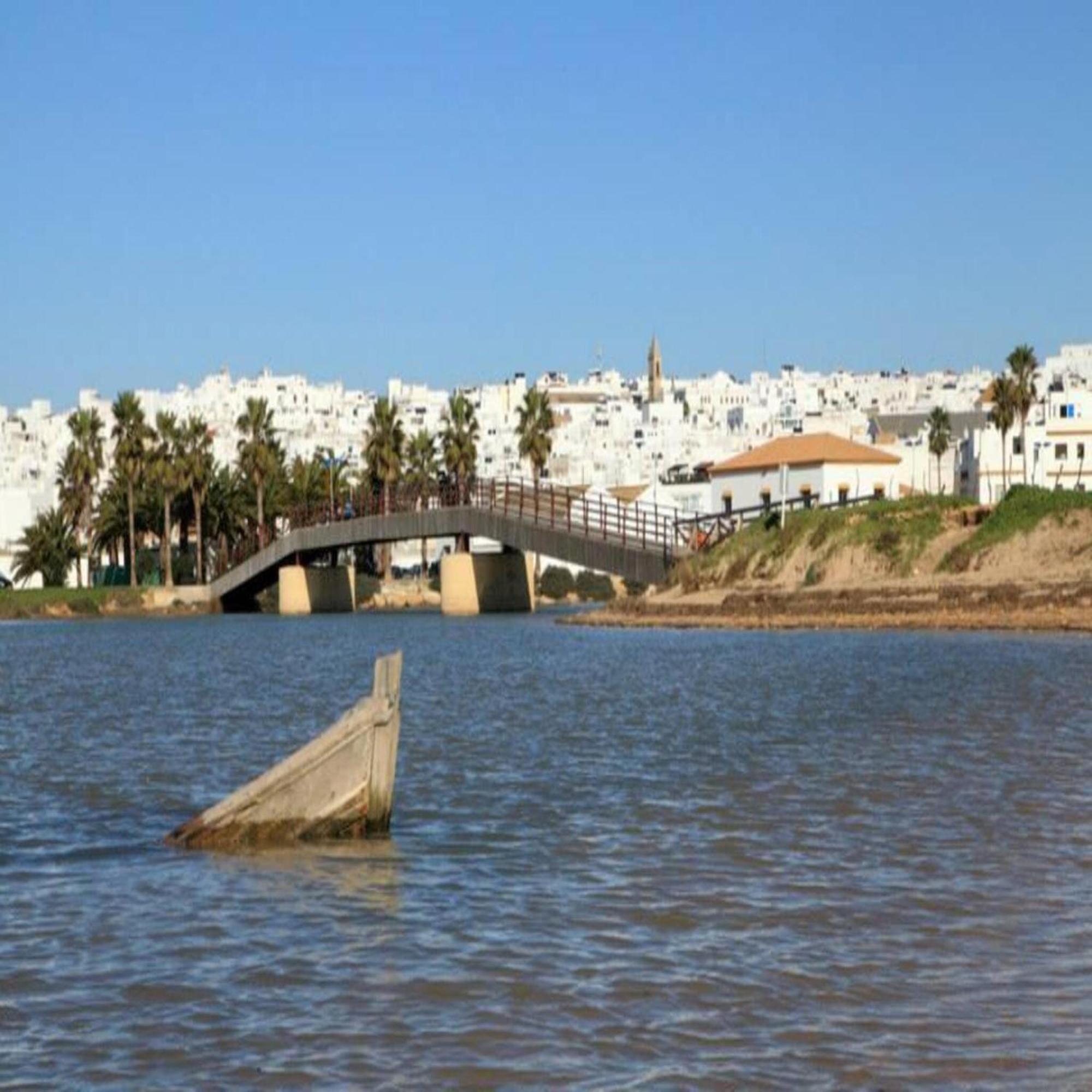 Estudio Con Terraza En 0ferta Conil
