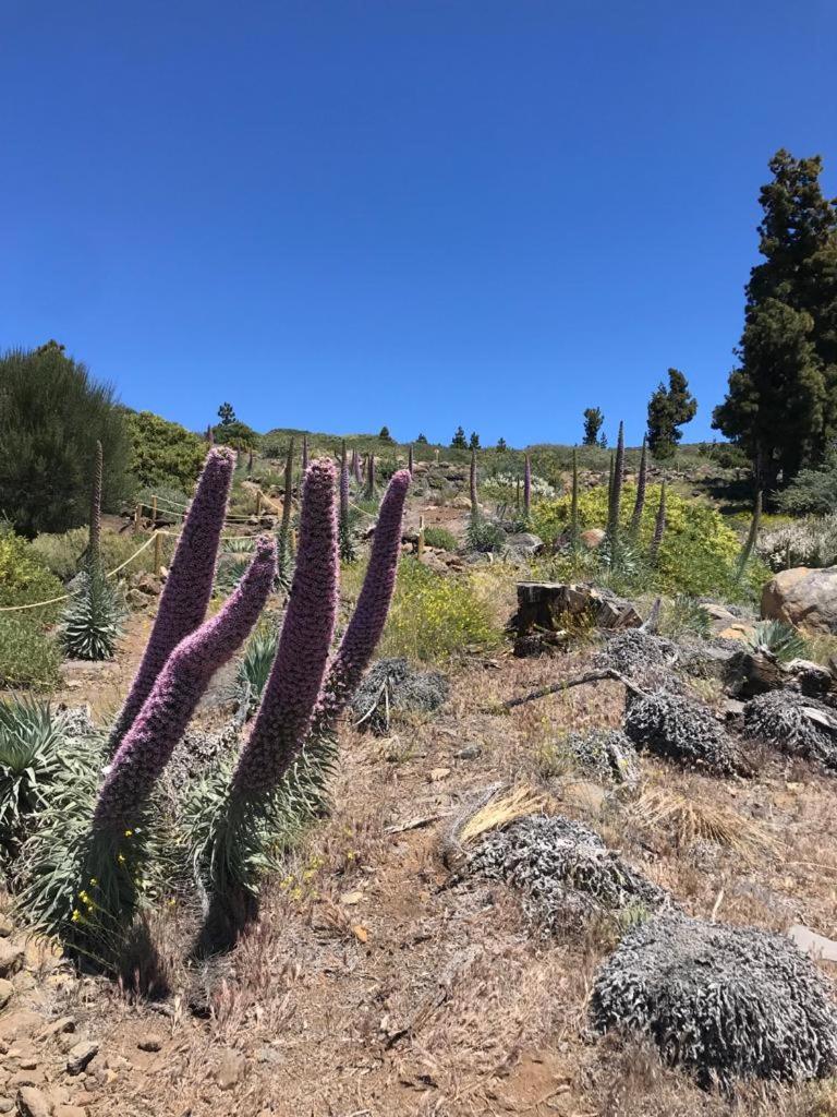 Caboquitos