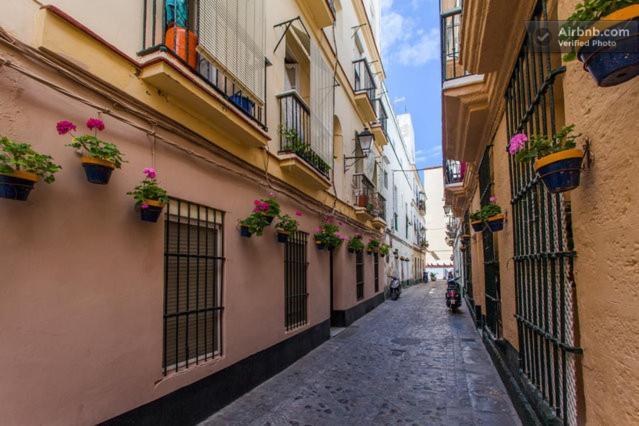 La Casa De Bicis