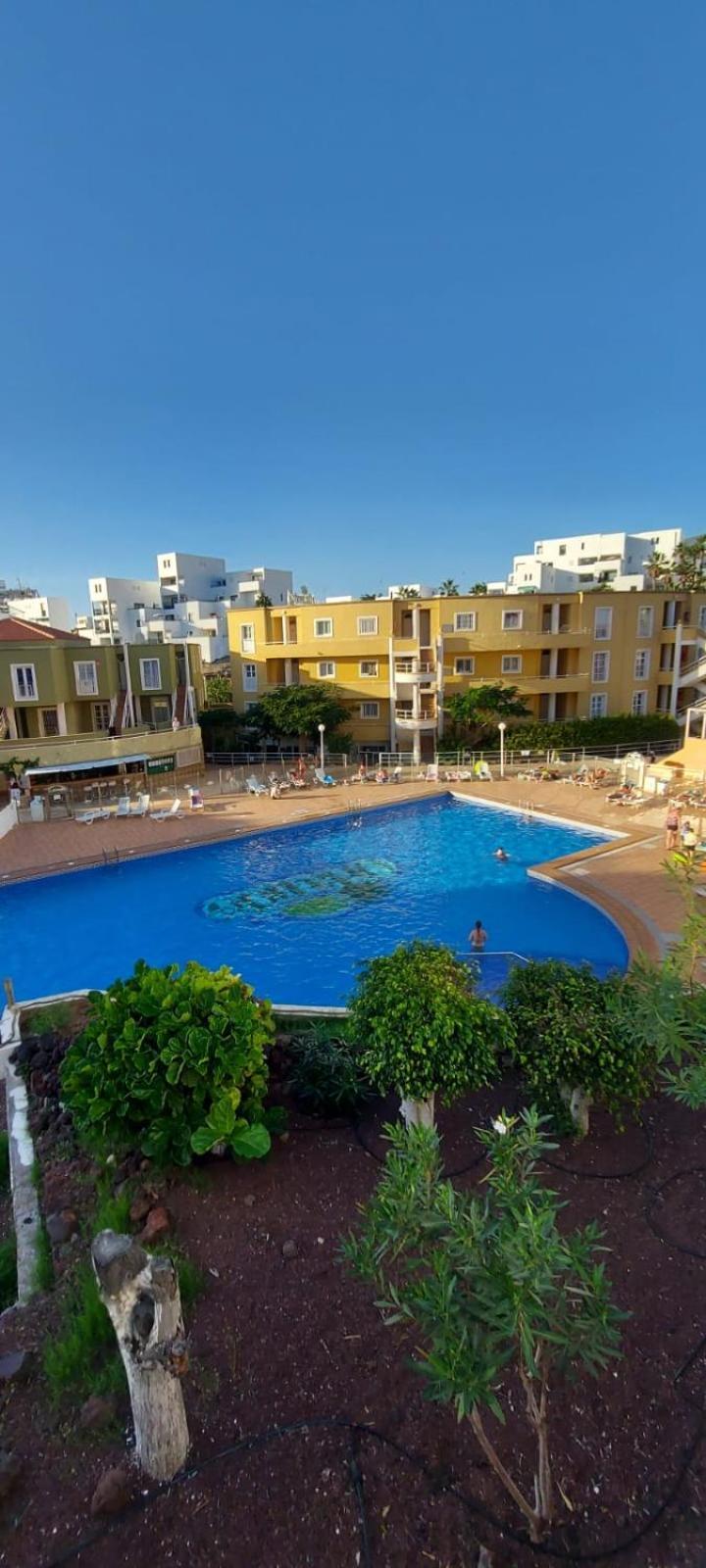Apartamento Orlando Costa Adeje Costa Adeje (Tenerife)