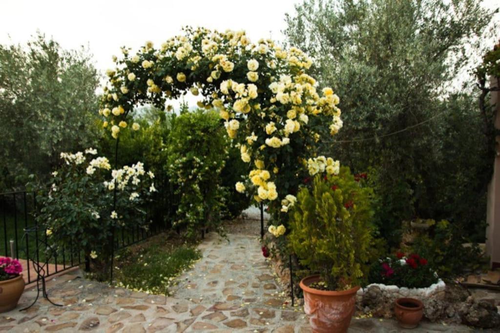 Cazorla-alcon, Casa Hoya Don Gaspar Holiday home *