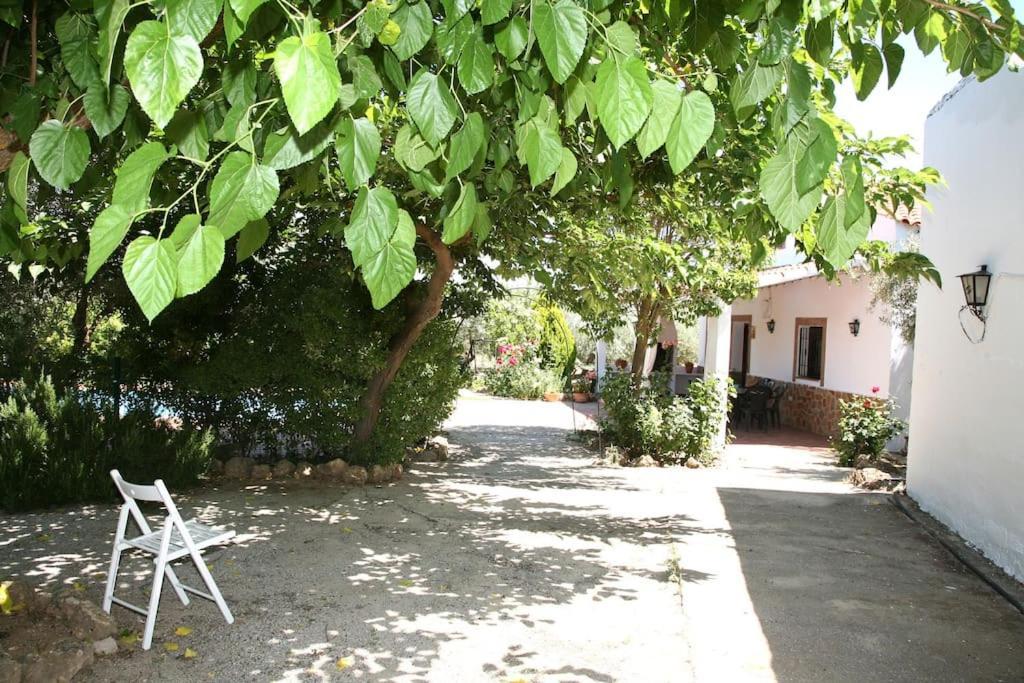 Cazorla-alcon, Casa Hoya Don Gaspar Holiday home Pozo Alcon