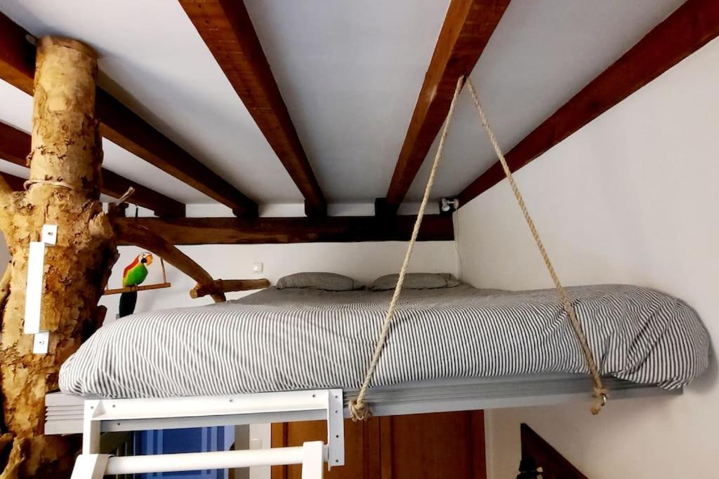 Apartamento La Casa Del Arbol *