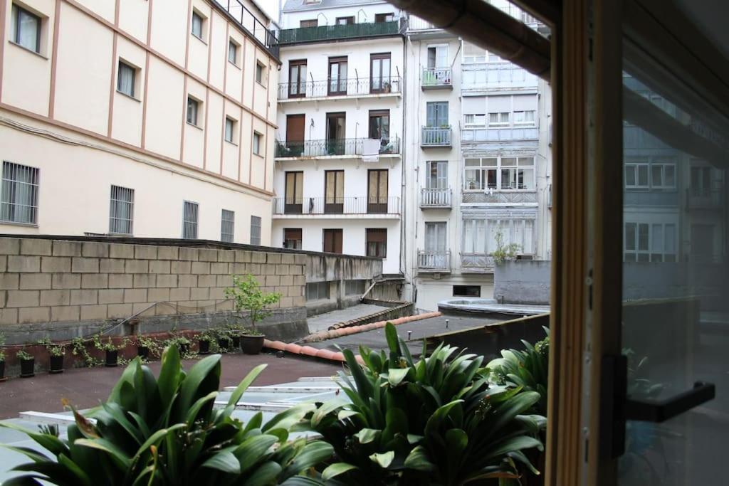Apartamento La Casa Del Arbol San Sebastián