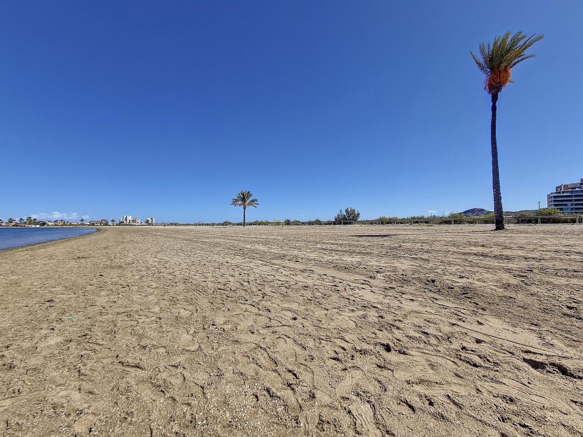 Apartamento Flamencos Vista Playa - 2510