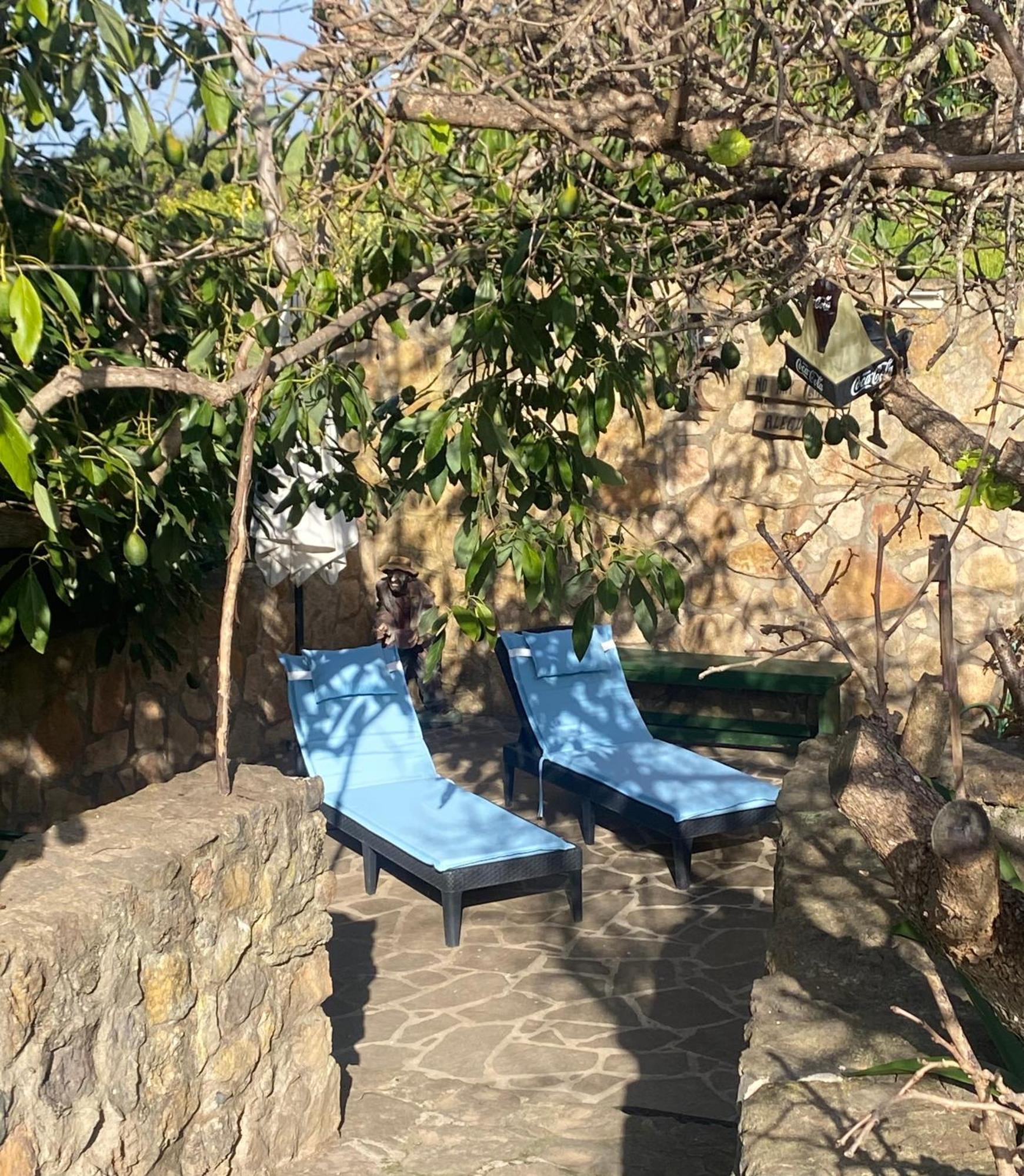 Rural House To Take A Break, La Serreria 25 - Private Garden Сasa de vacaciones Tacoronte