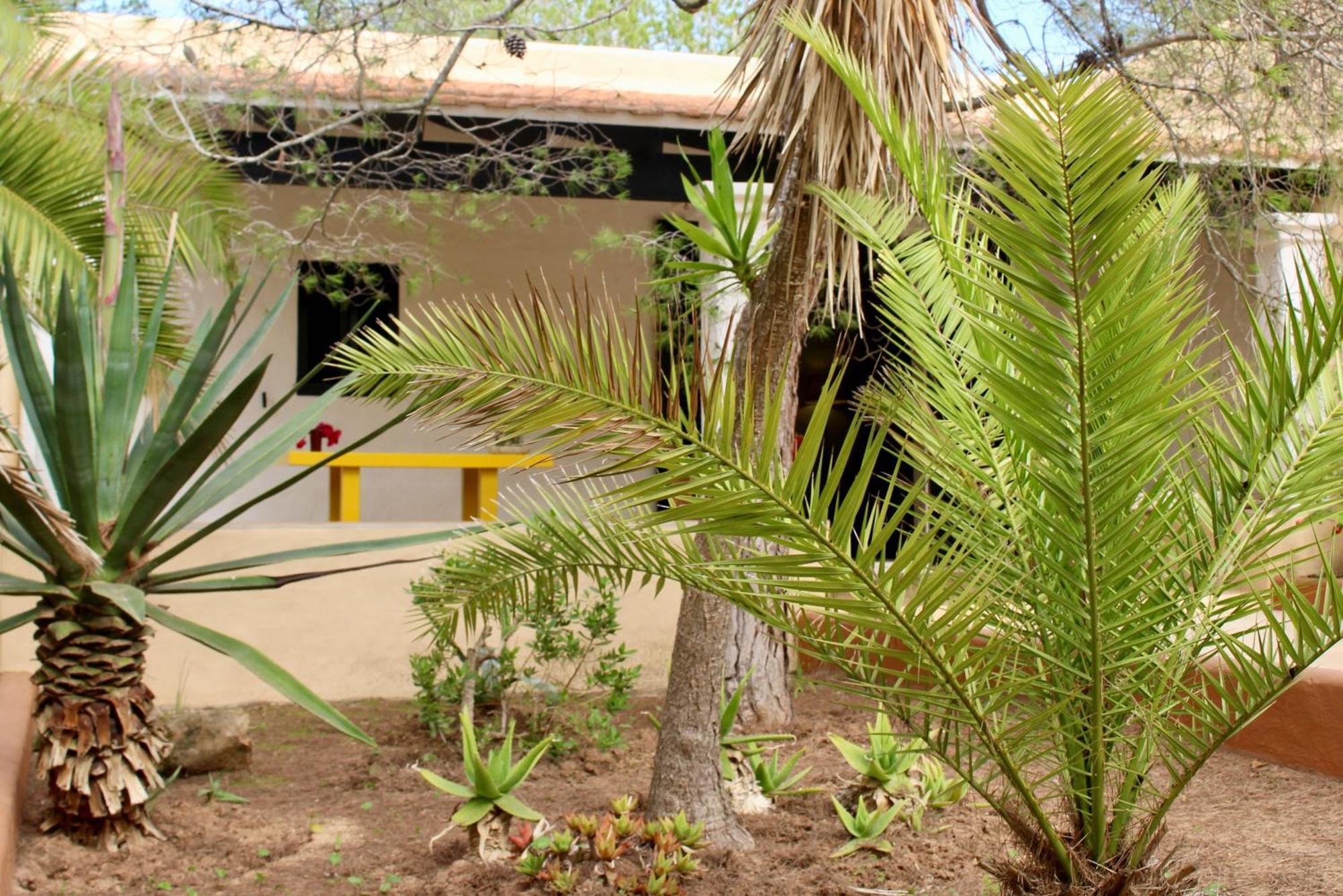 Apartment Miguel Marti - Astbury Formentera *