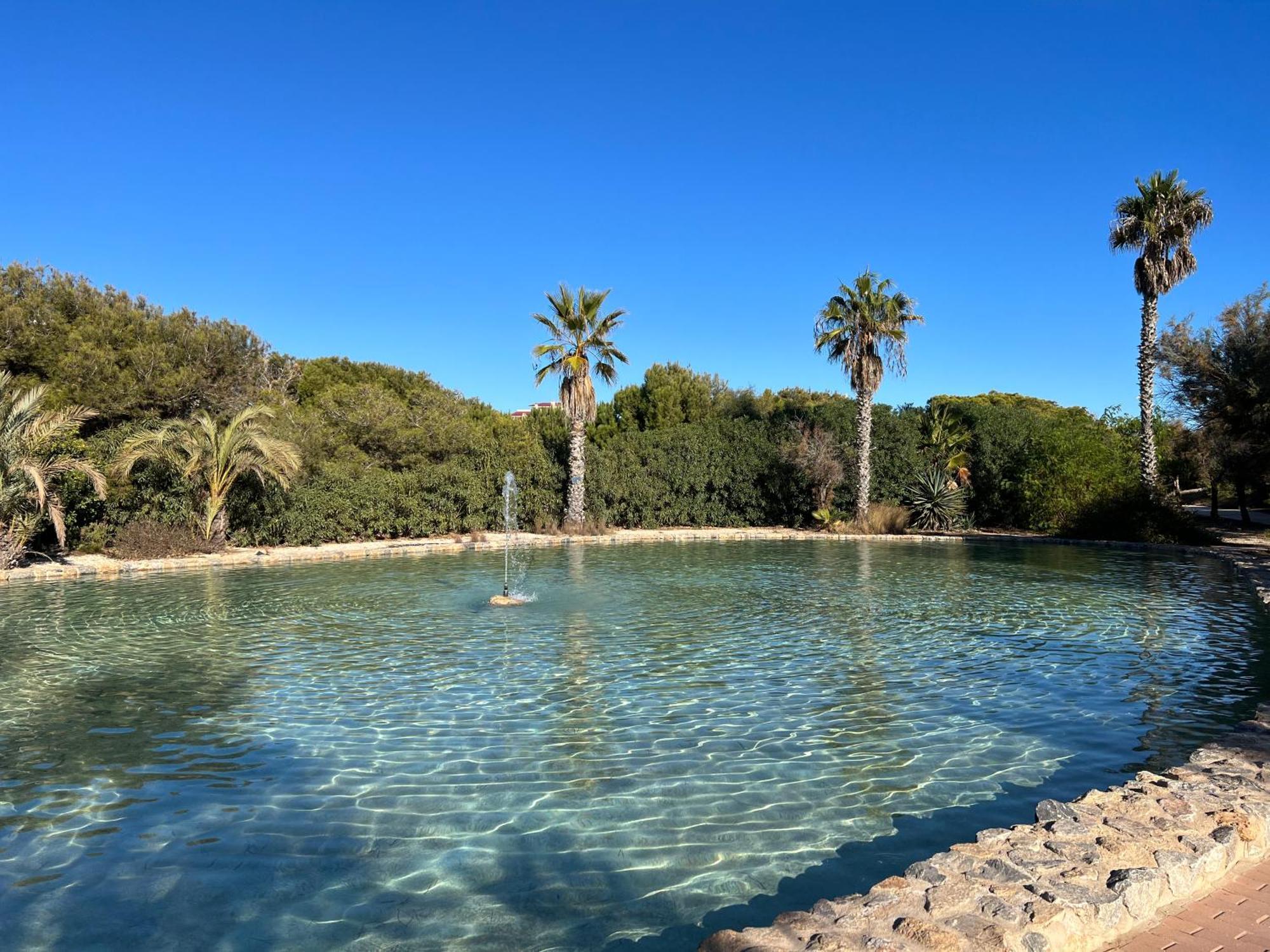Apartment La Mata Torrevieja
