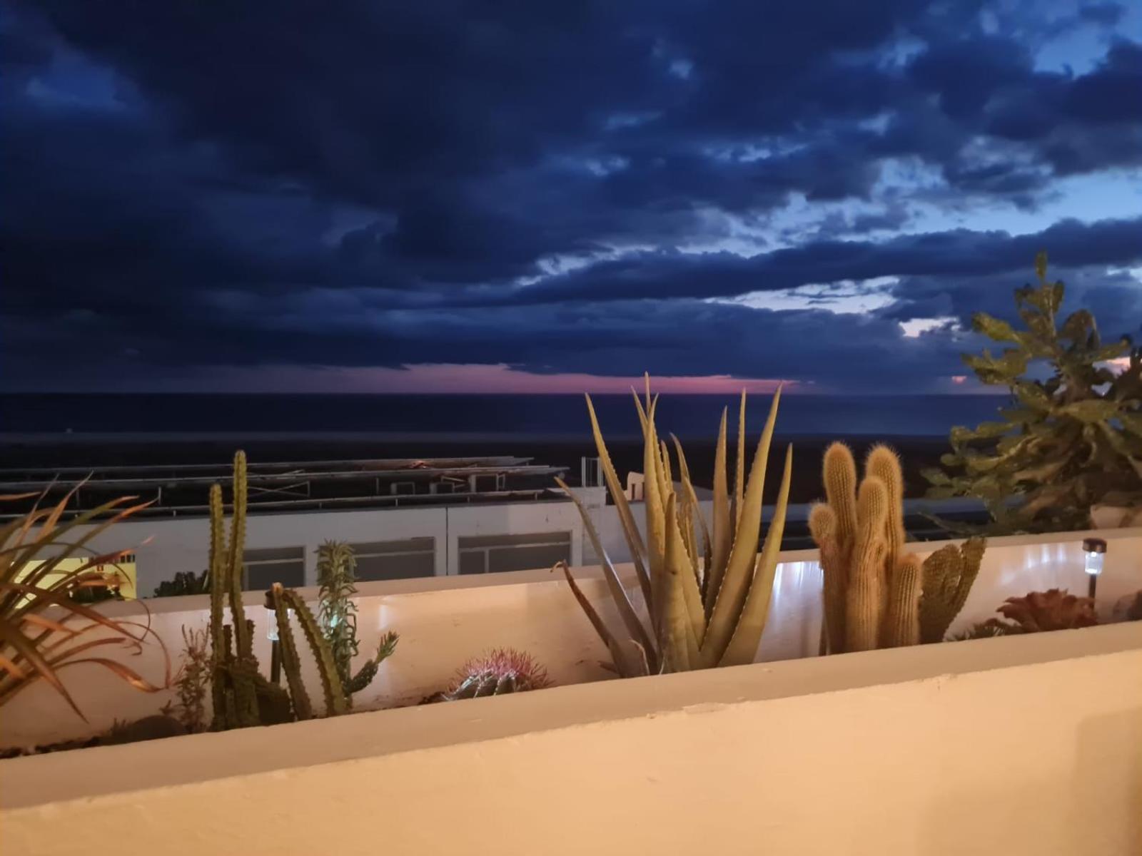 Casa M In *