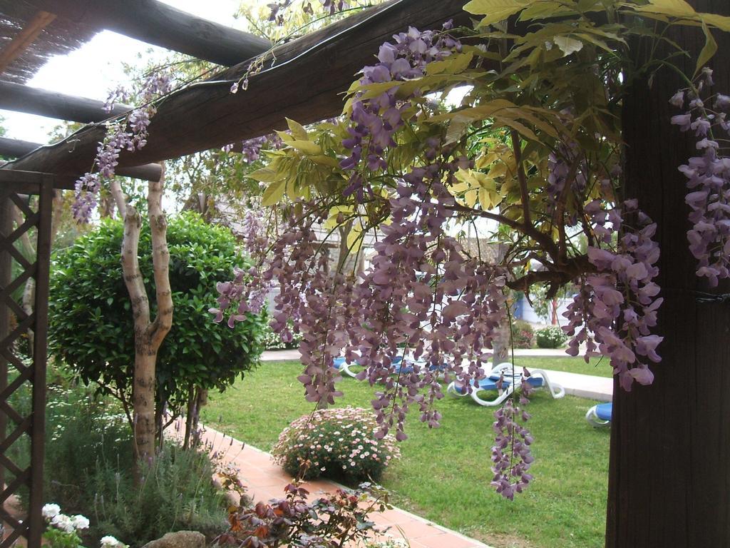 Hacienda Sajorami * Zahora