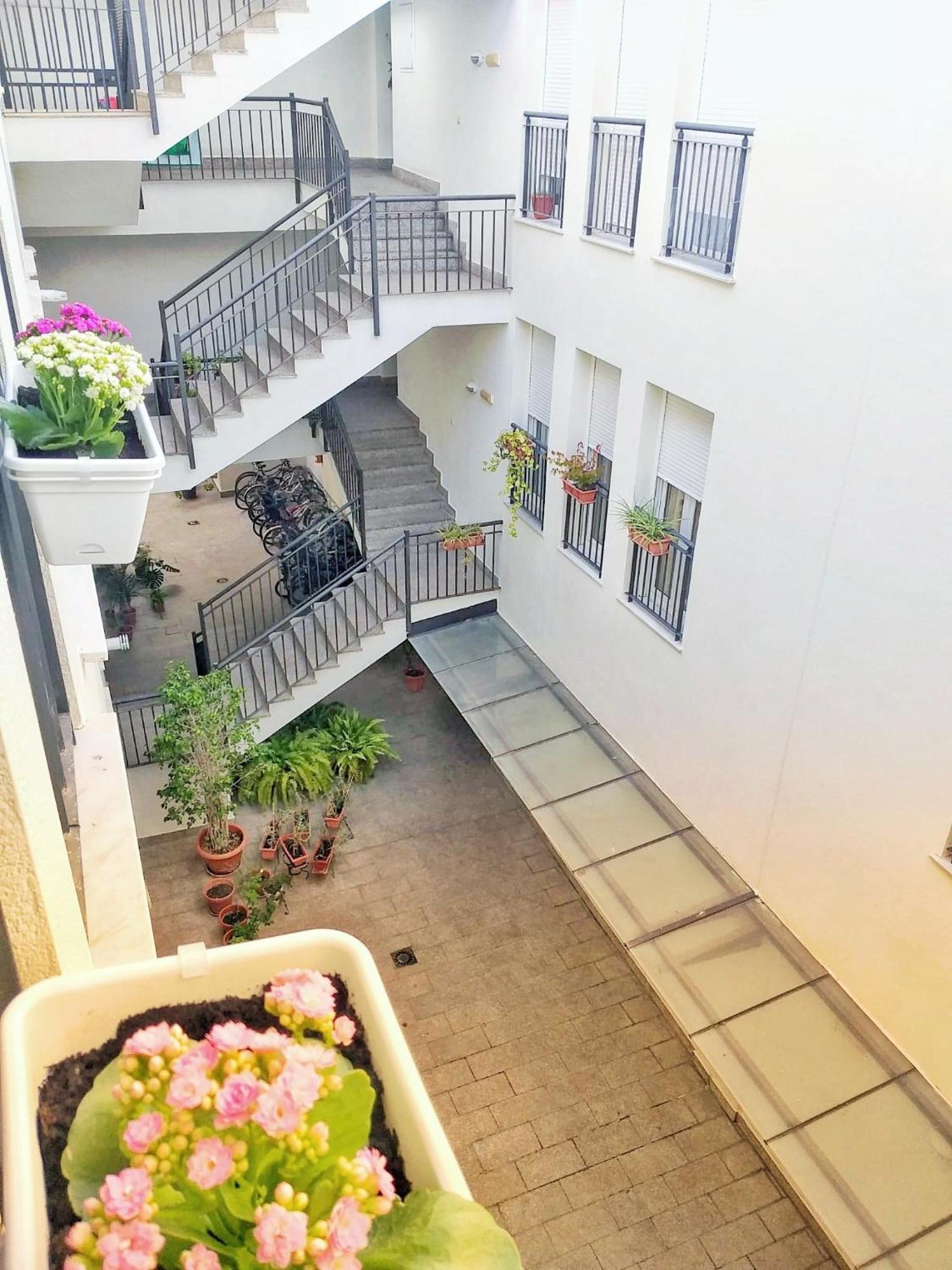Apartment Loft Mentidero *