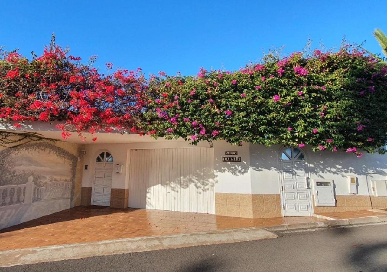 Apartamento Larnia De Tenerife *