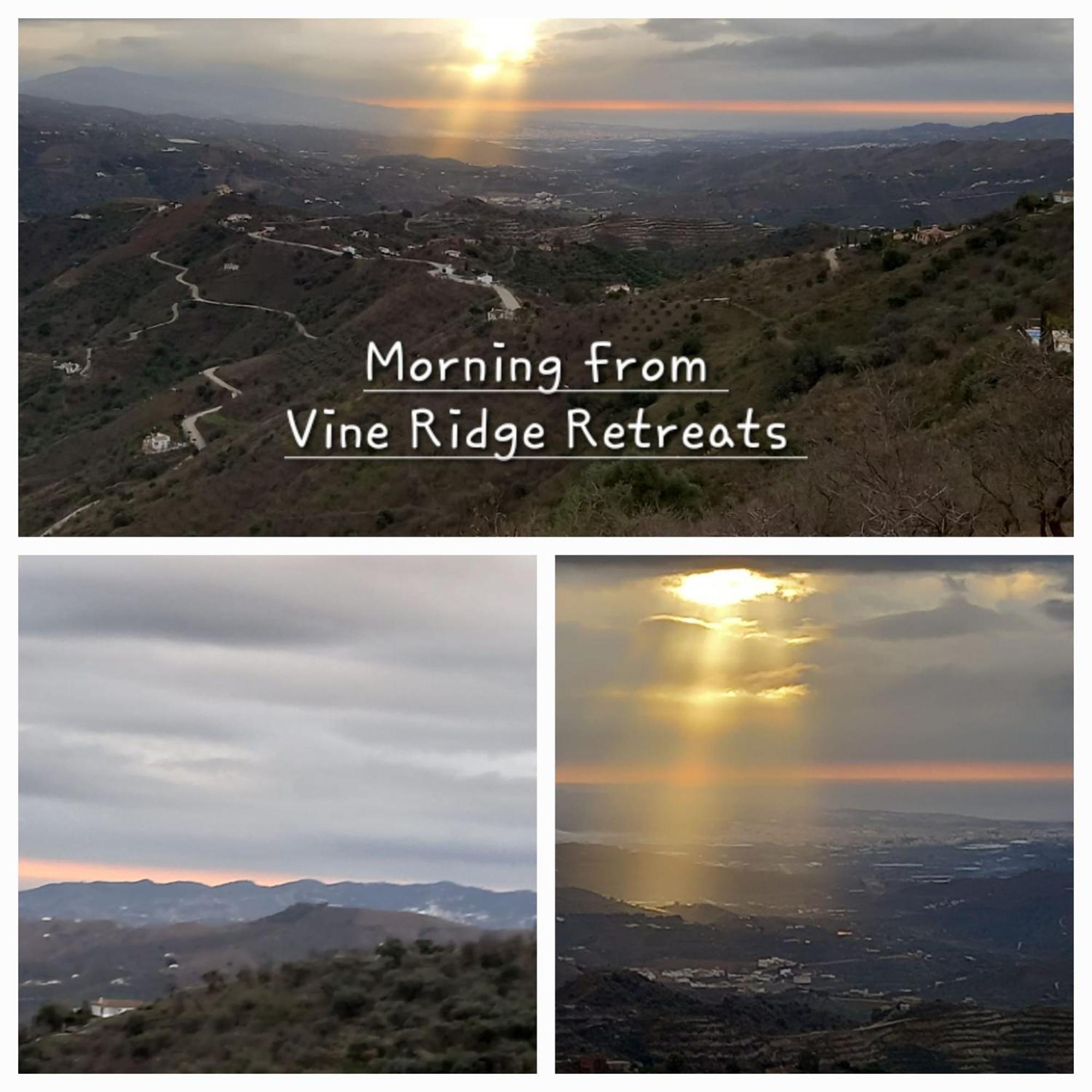 Vine Ridge And * Comares