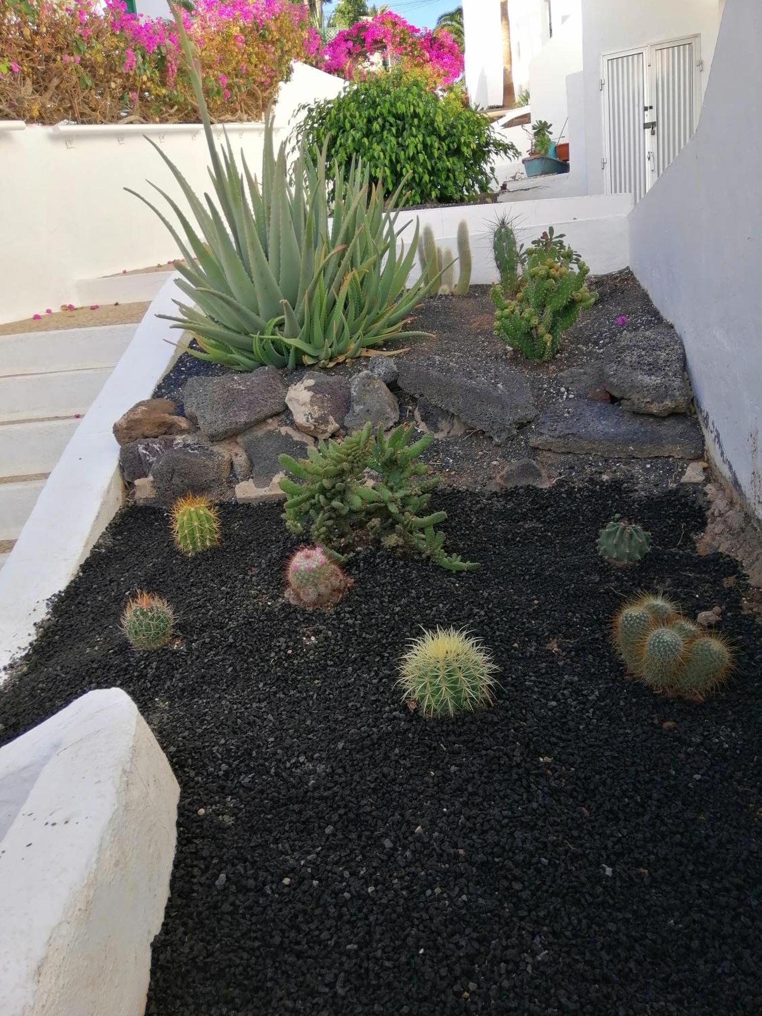 Apartment Te Miti Puerto del Carmen (Lanzarote)