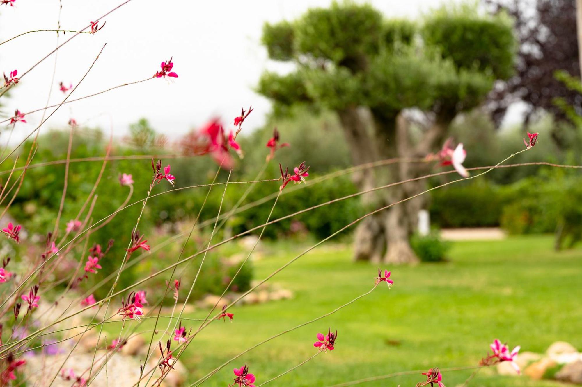 Mas Montbrio Belvedere Cambrils