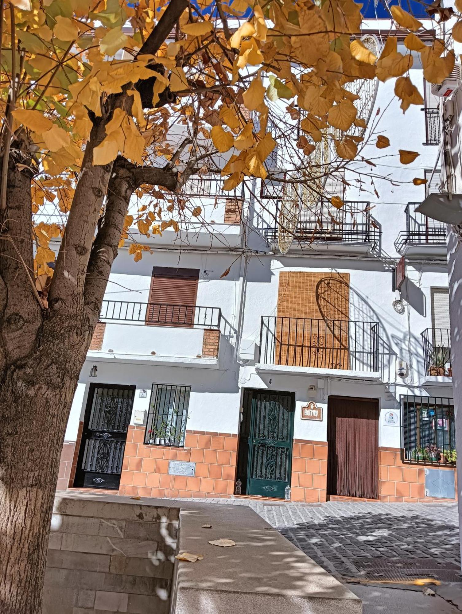 La Casa De La Plaza Güéjar Sierra