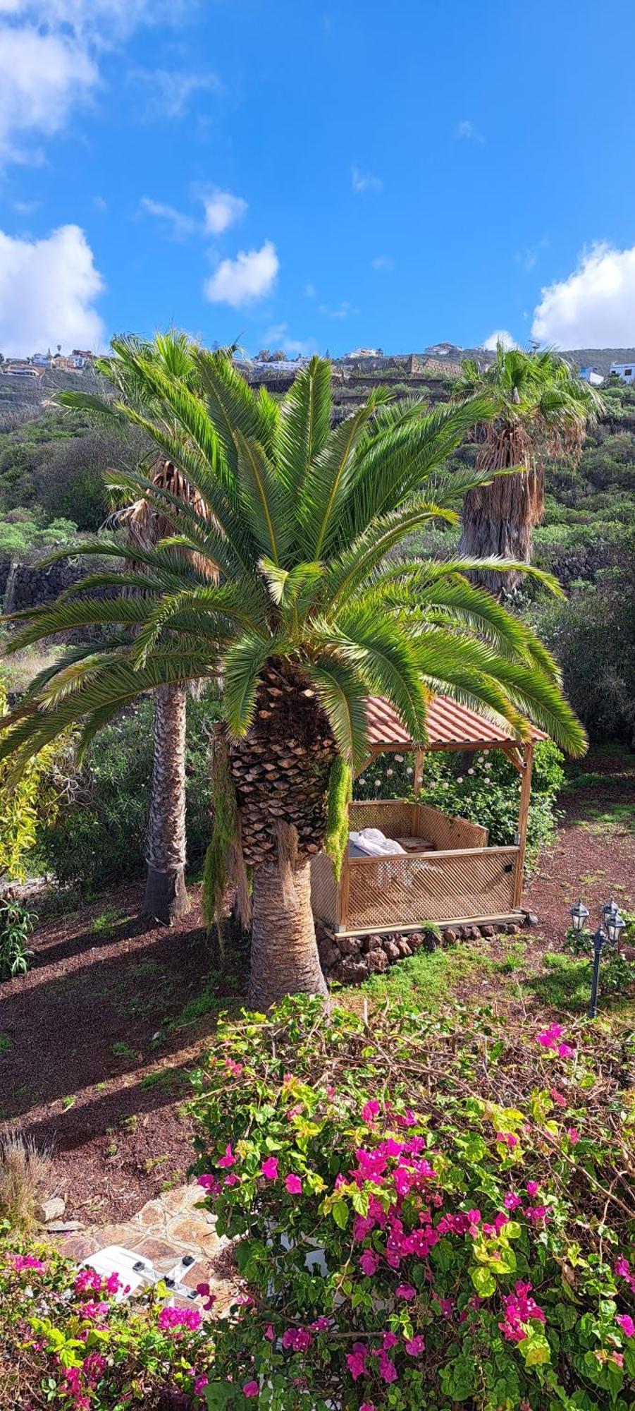 Larnia De Tenerife Apartamento El Sauzal