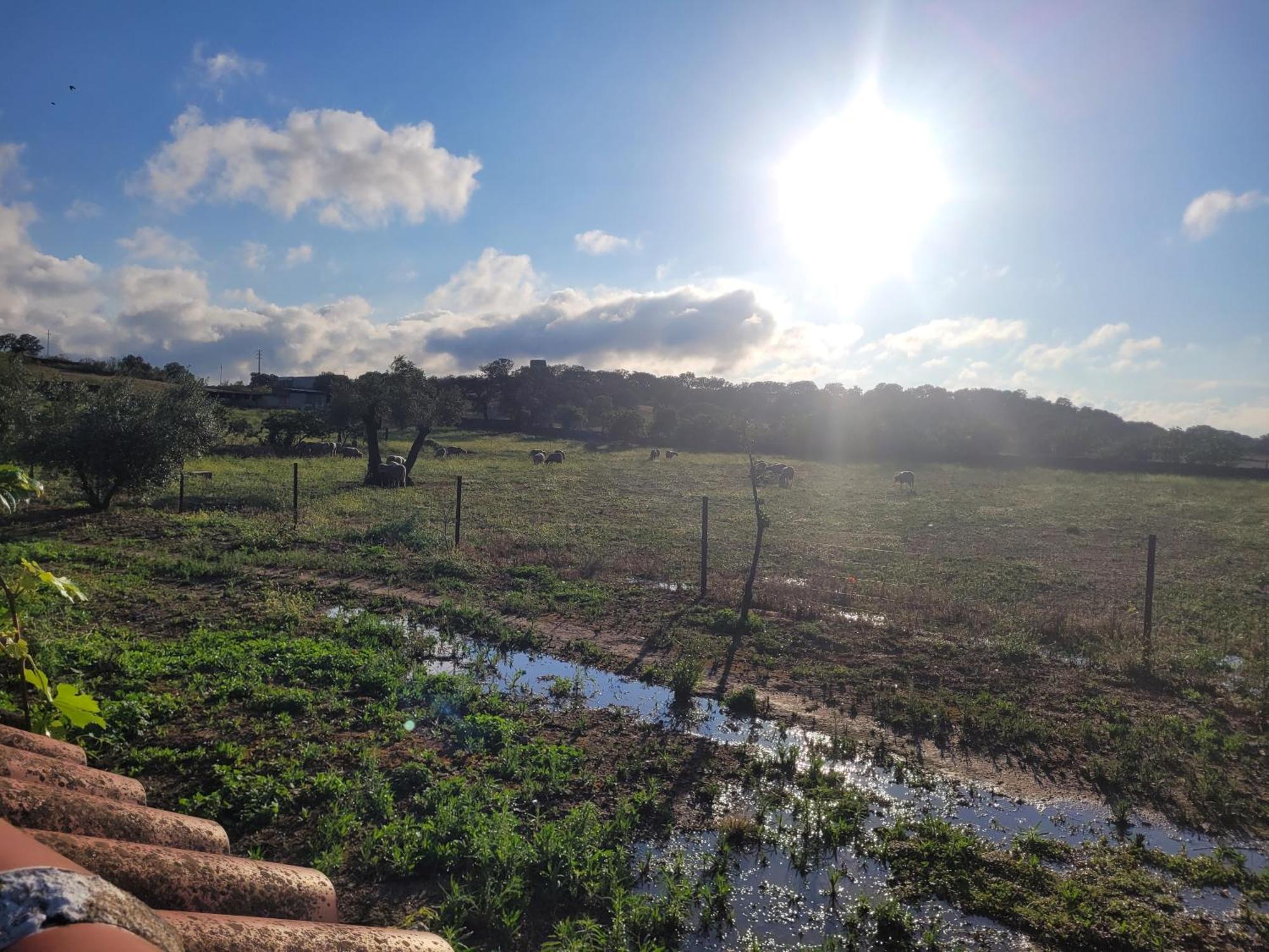 Сasa de vacaciones Complejo Rural El Soldado