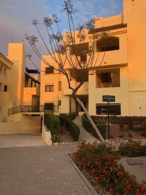 Casa Palmera