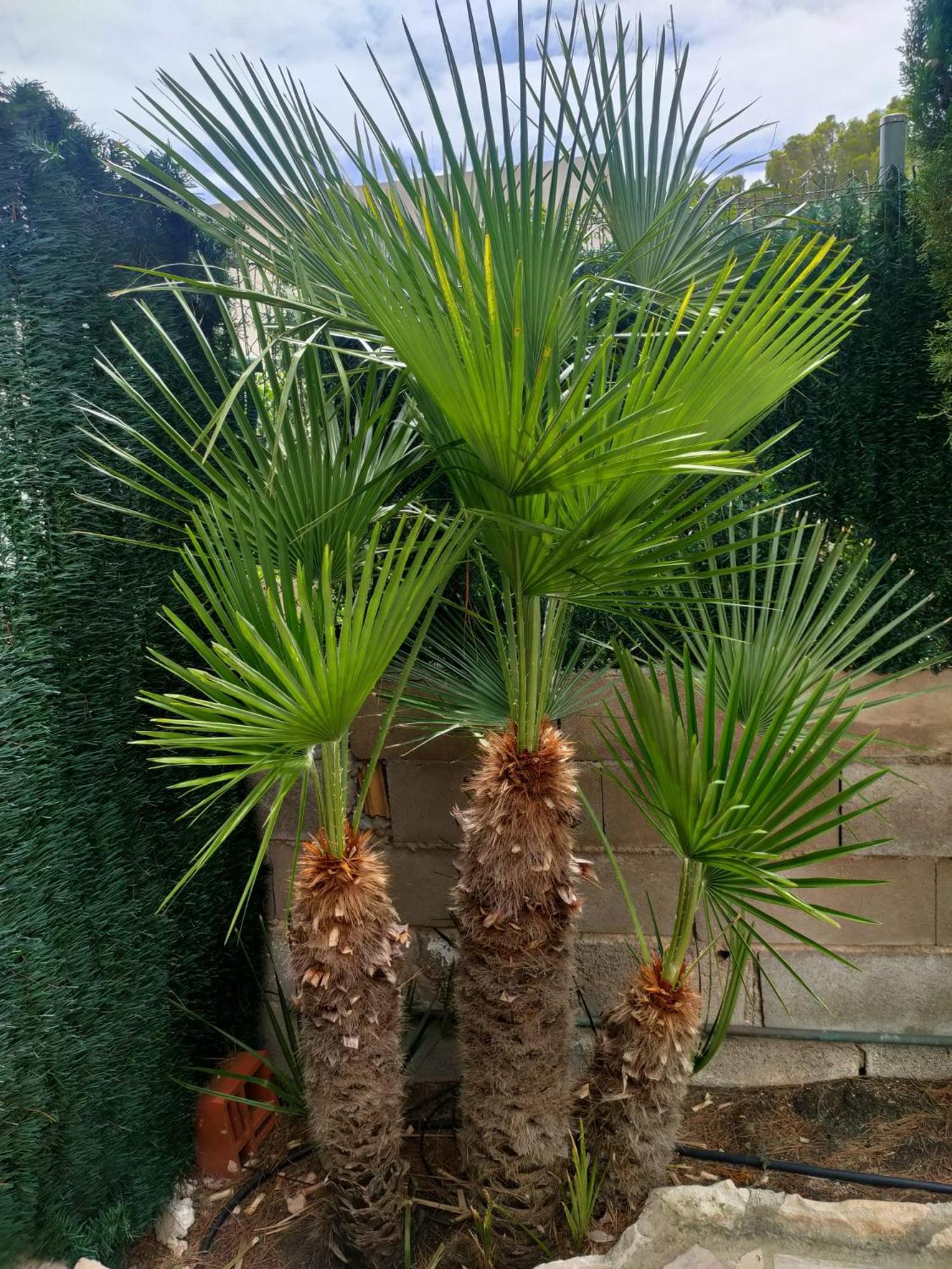 Casa Coco *
