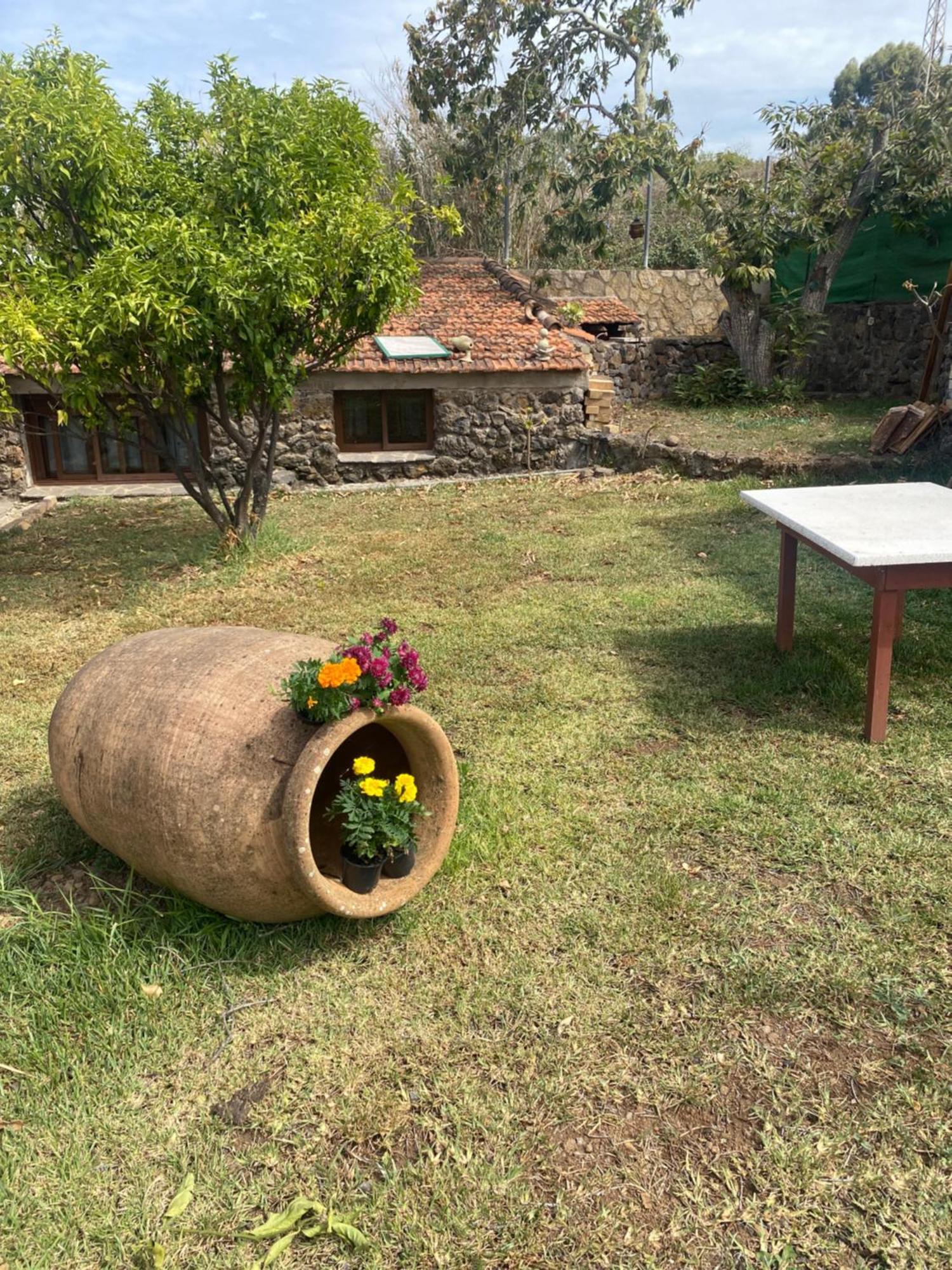Сasa de vacaciones Rural House To Take A Break, La Serreria 25 - Private Garden