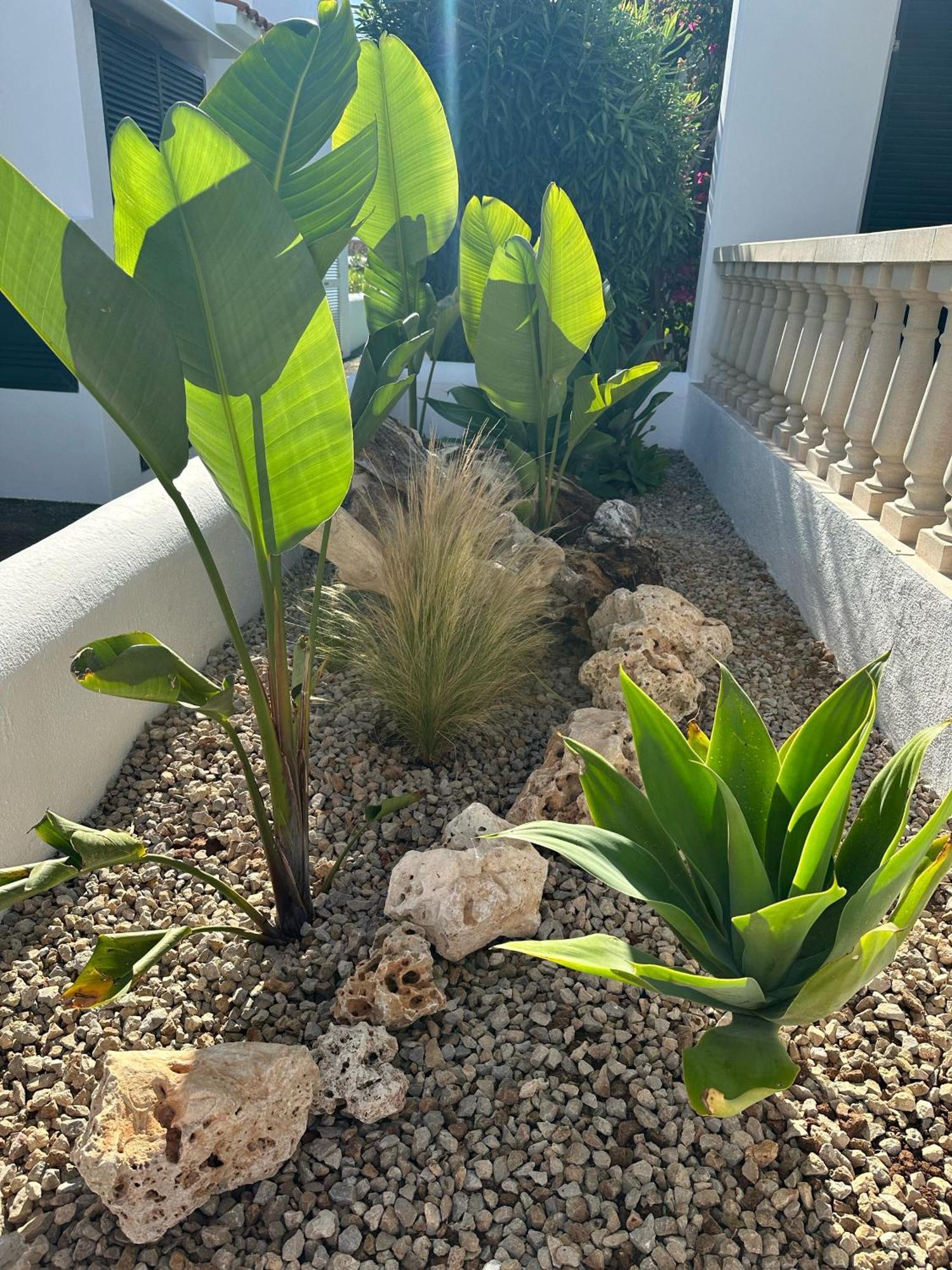 Diplomado Holiday home Es Mercadal