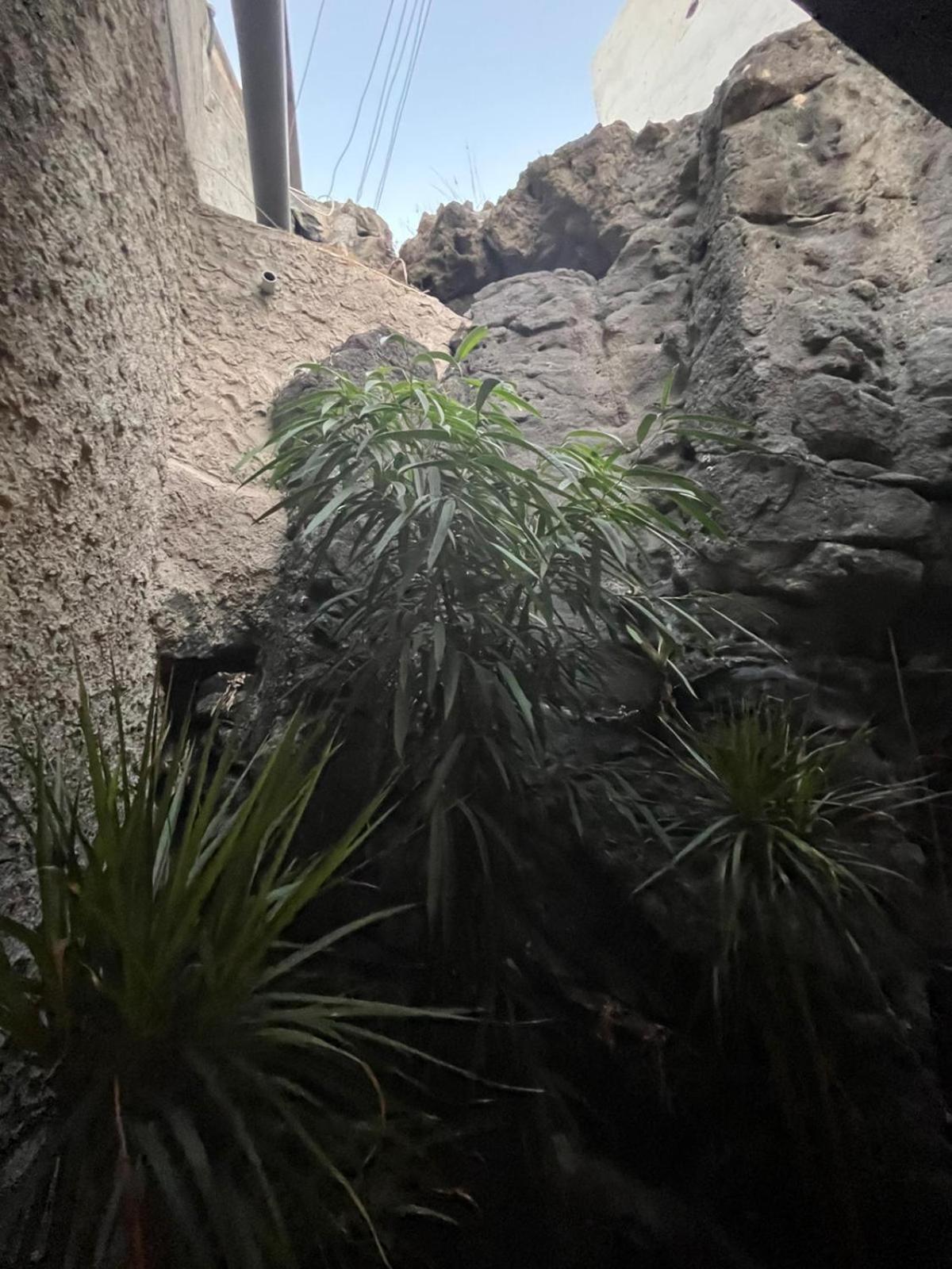 La Gruta Apartment