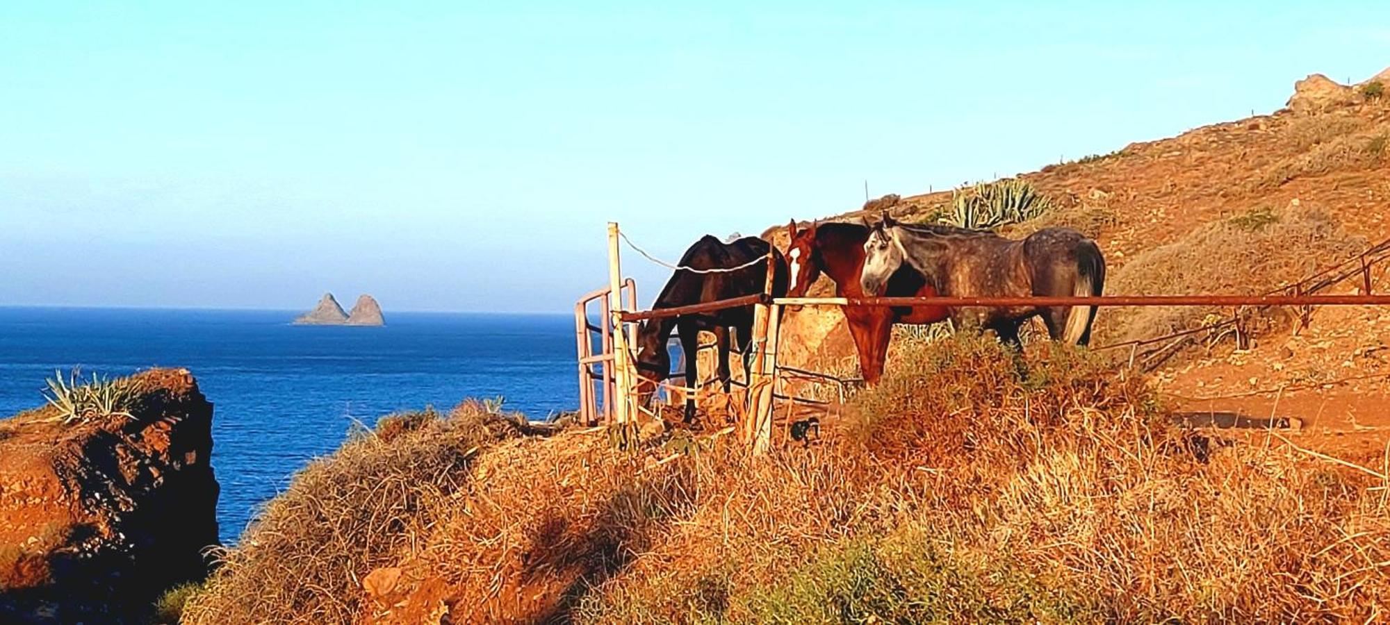 Casa En Anaga Con Wifi - Reserva De La Biosfera Сasa de vacaciones