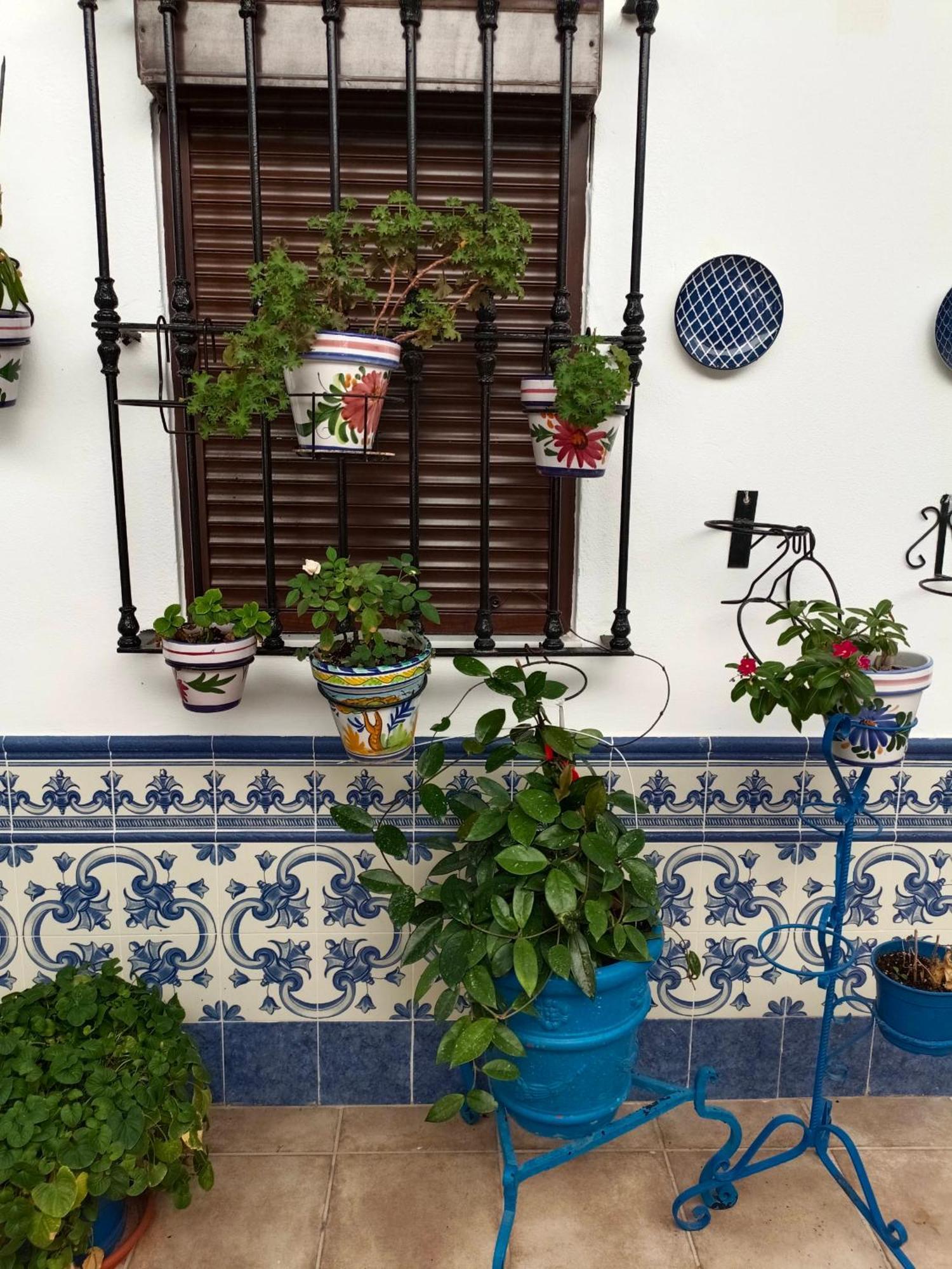Homestay Patio Rociero *