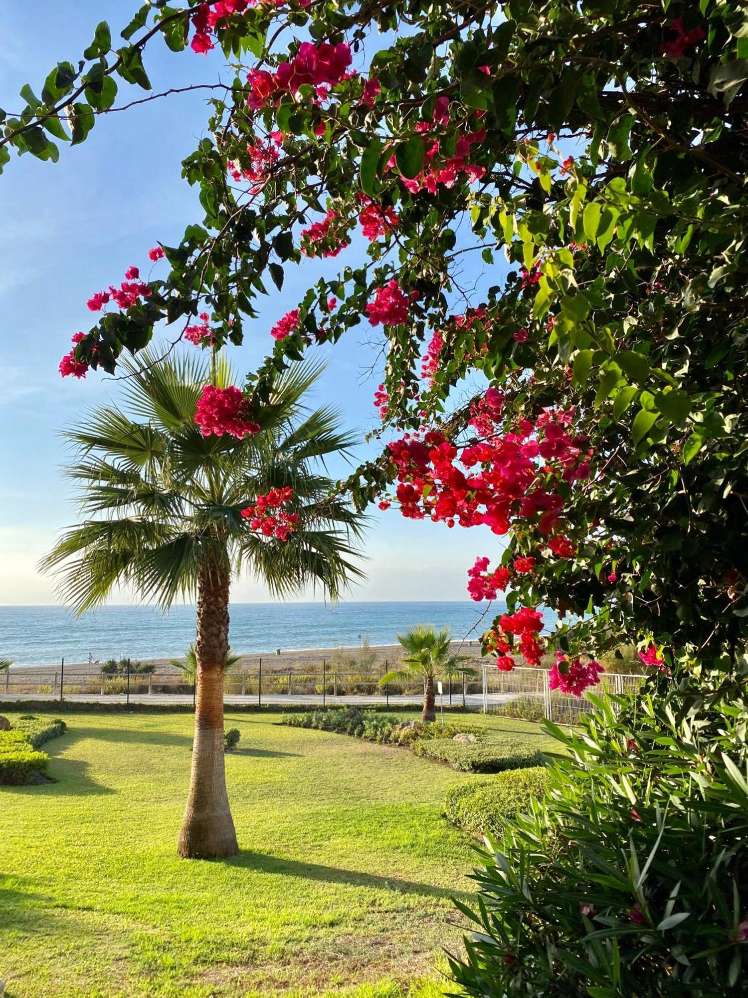 Sunshine Front Complex, Wifi, Modern Apartamento