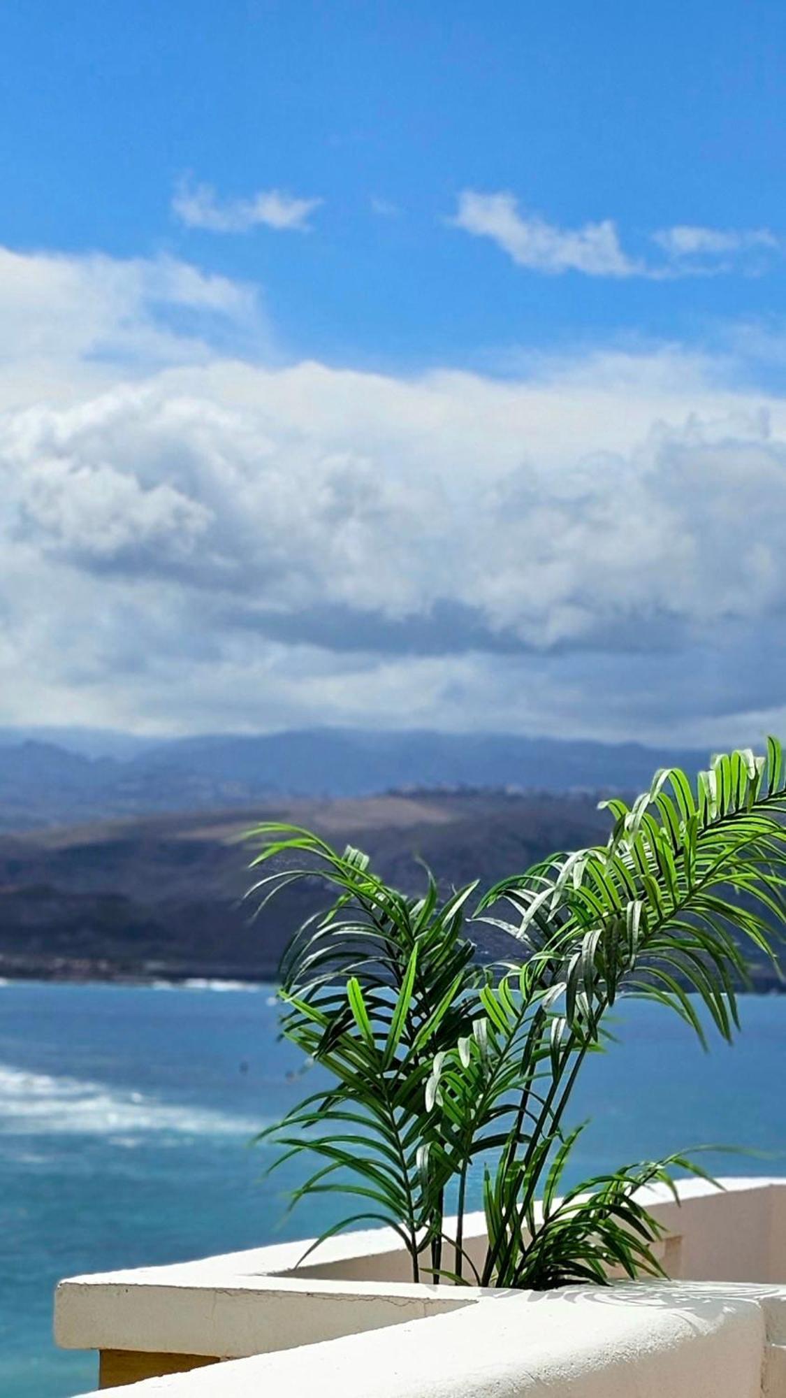 El Atico De Concha Las Palmas de Gran Canaria