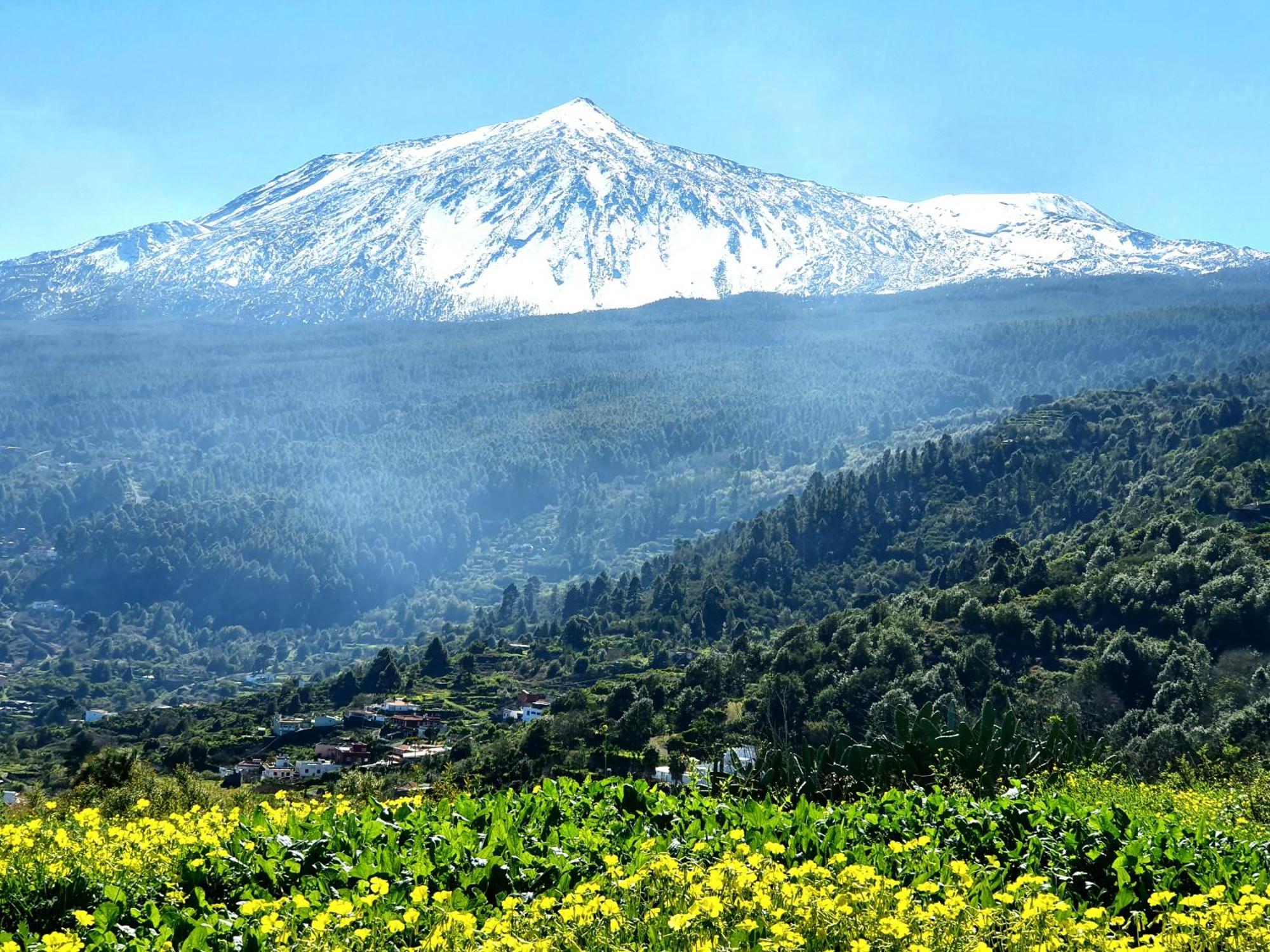 Cozy House Casa De Abuelos In Icod De Vinos By Hrtenerife Net